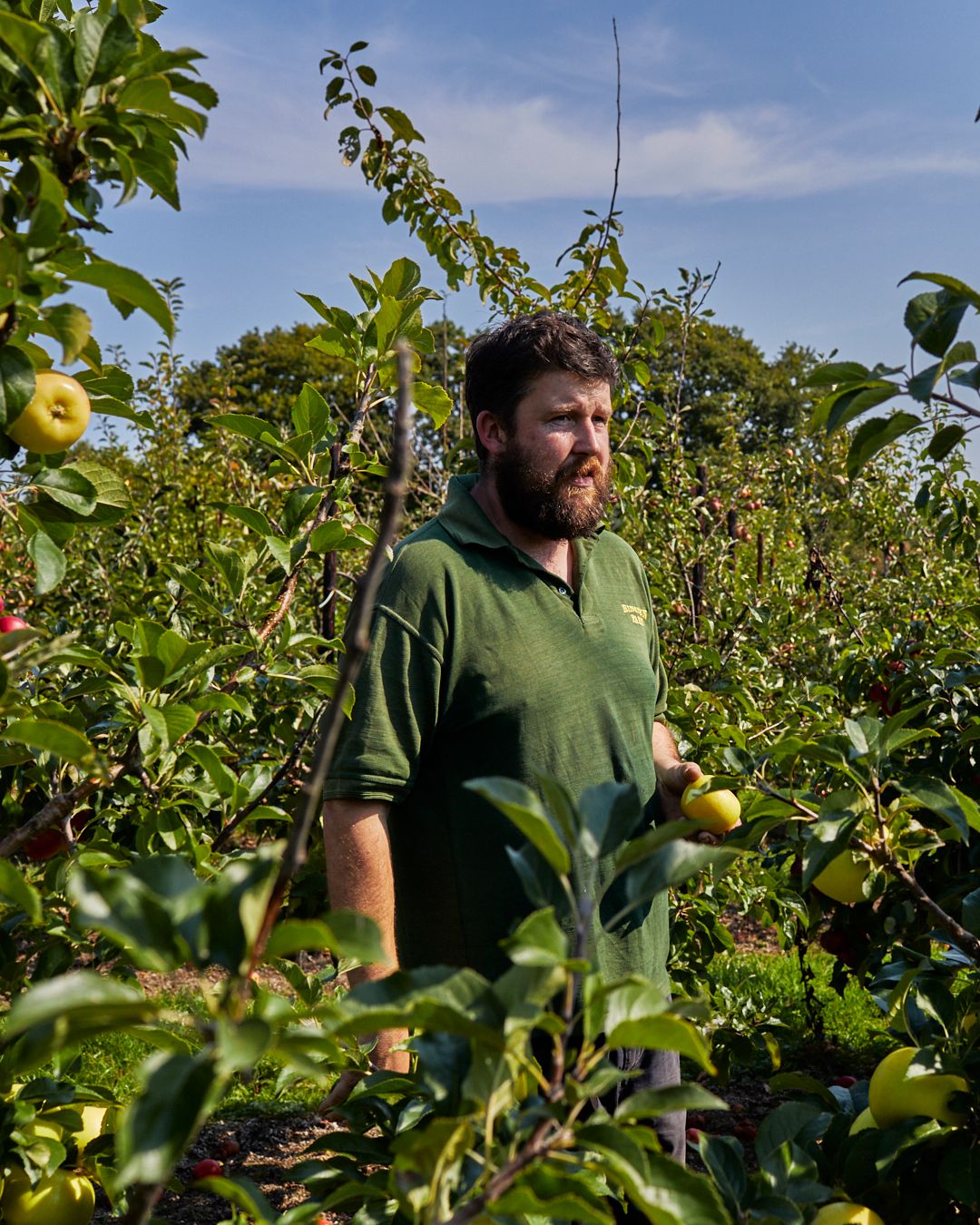 Season planner image