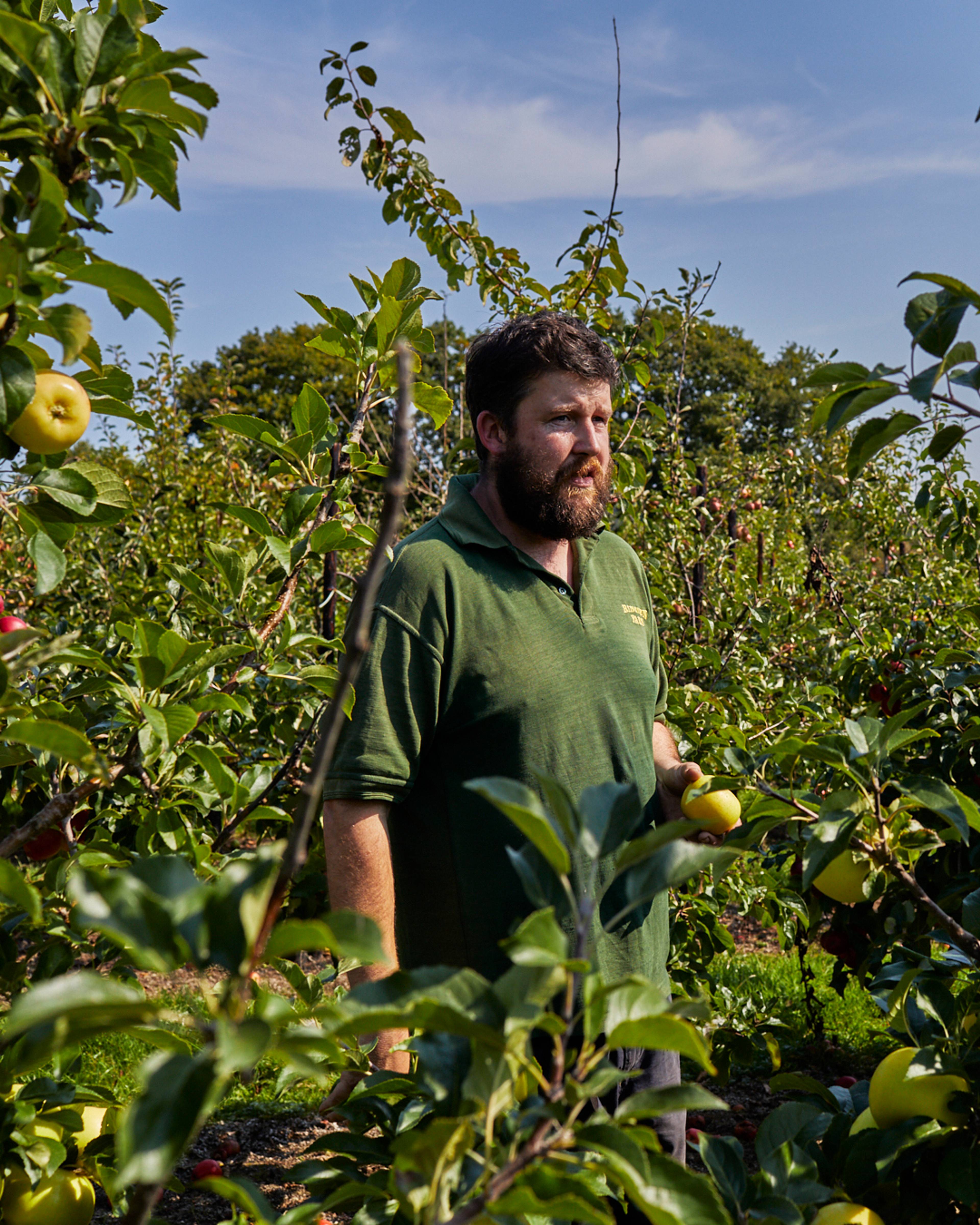 Season planner image
