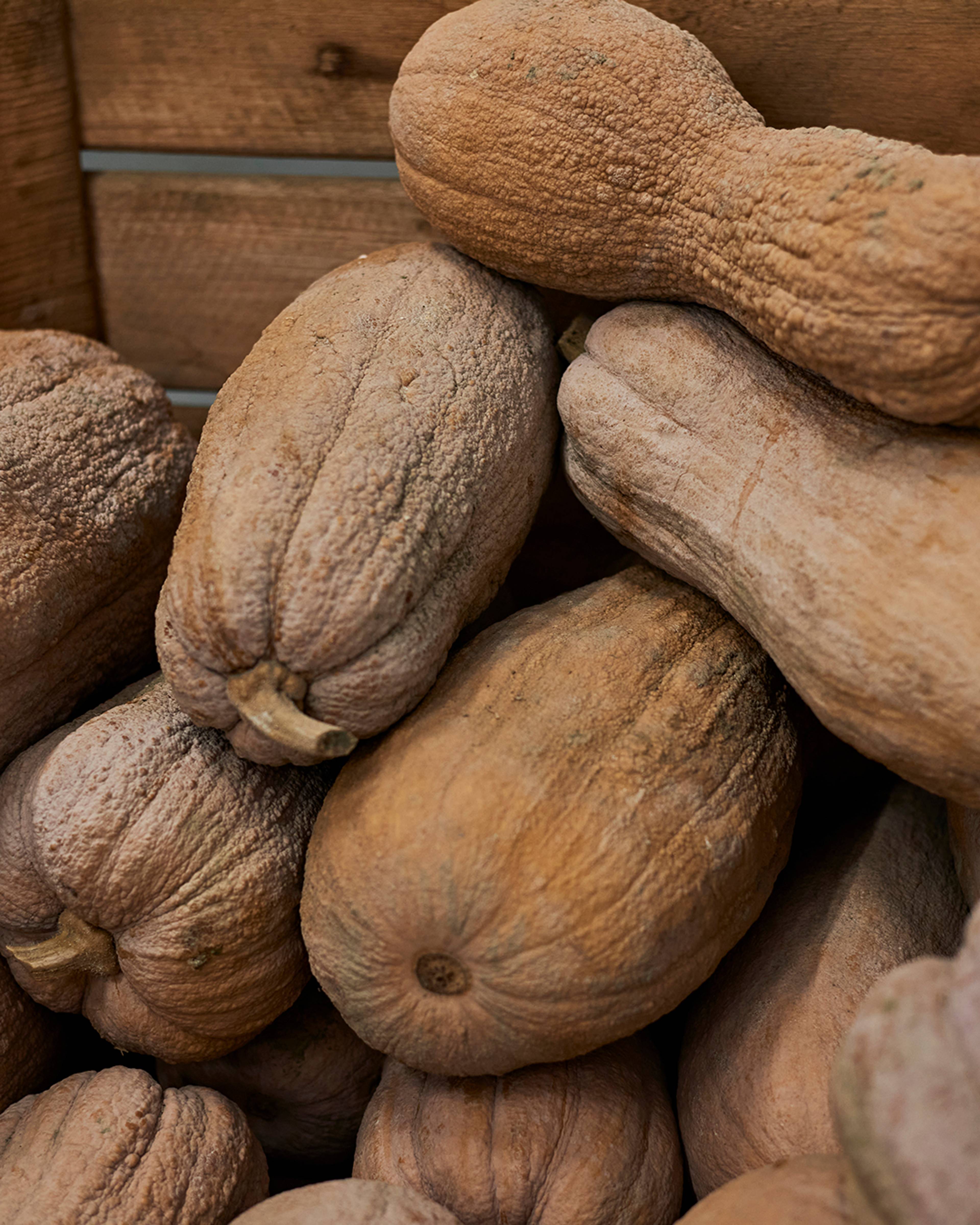 Season planner image