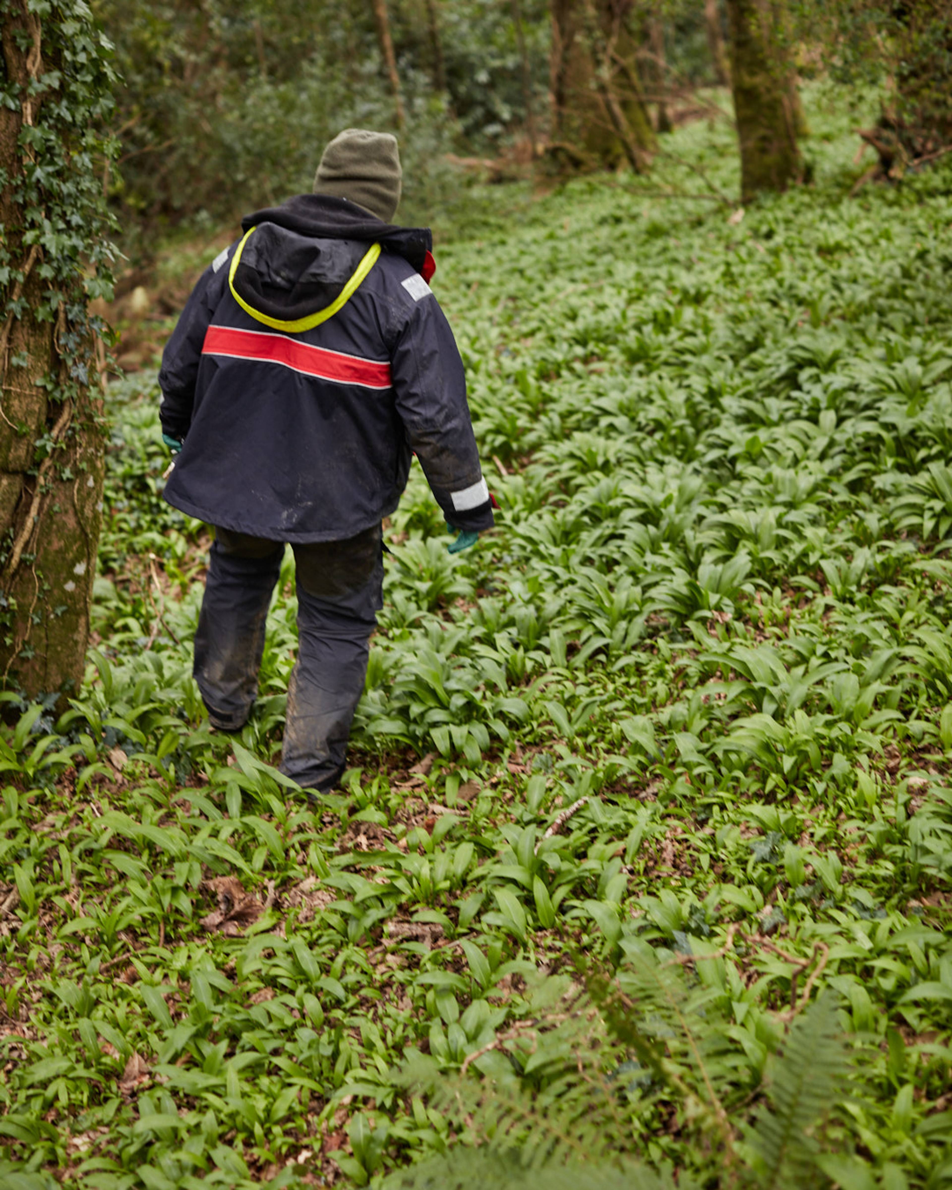 Images with caption alt text