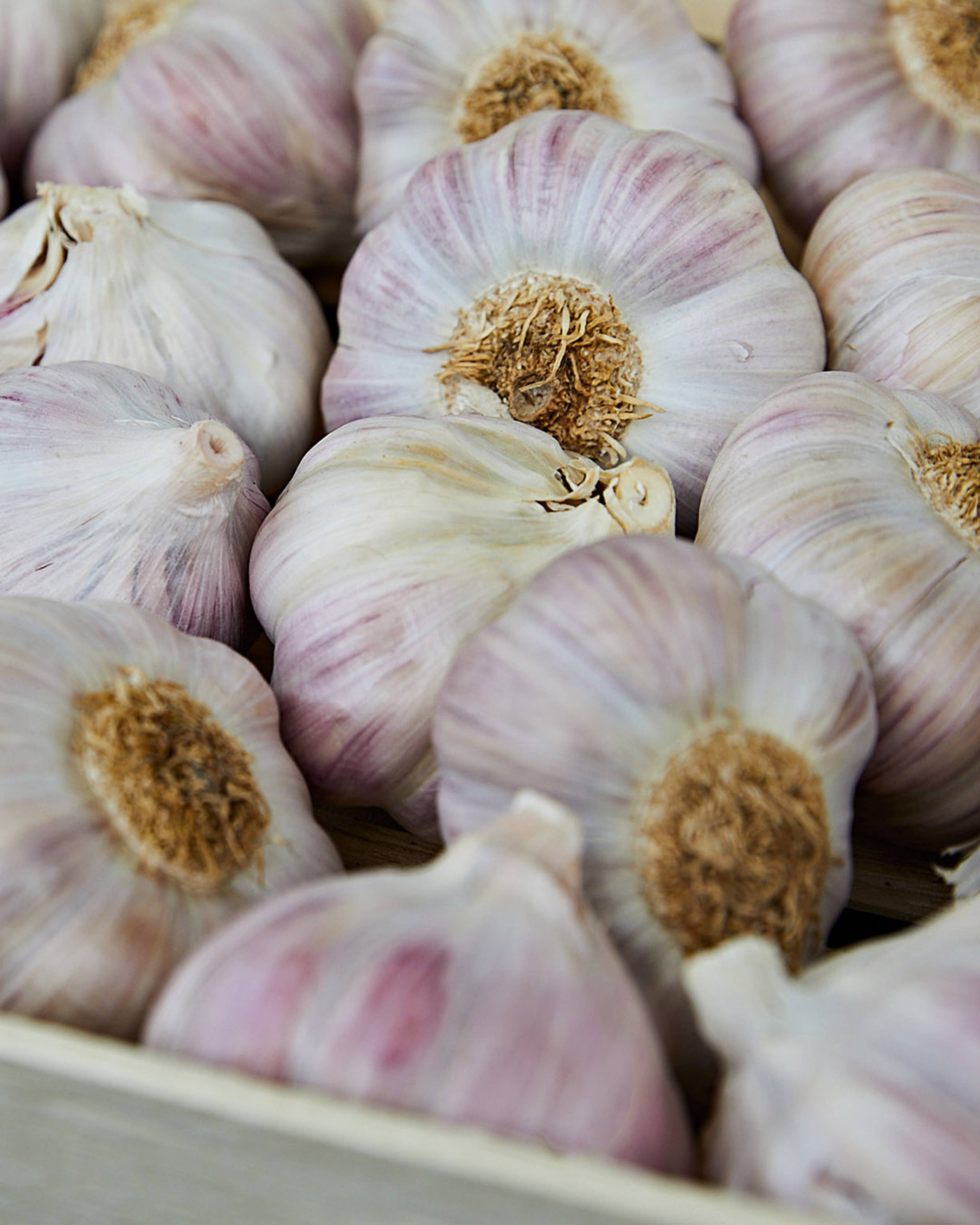 Season planner image