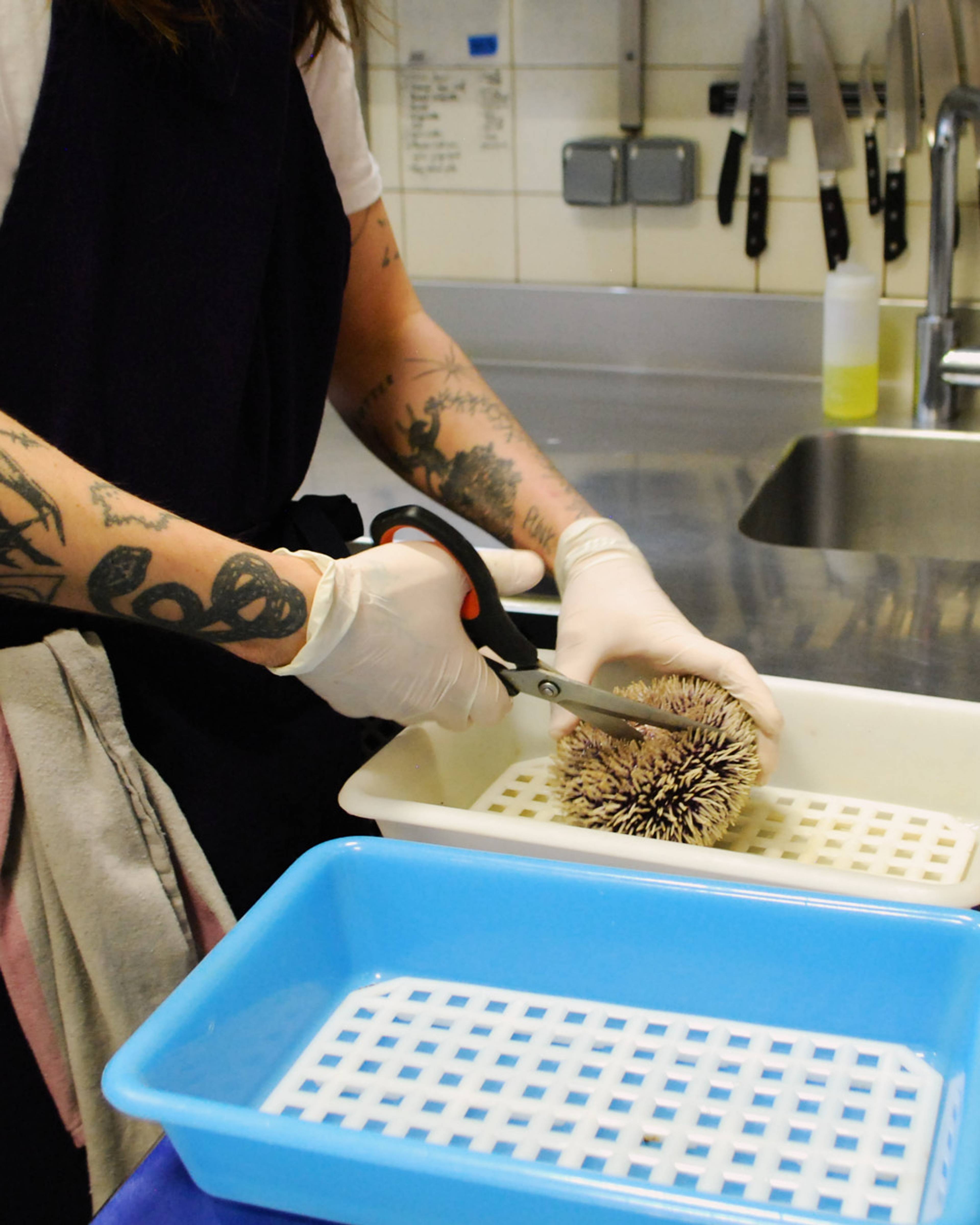 Images with caption alt text