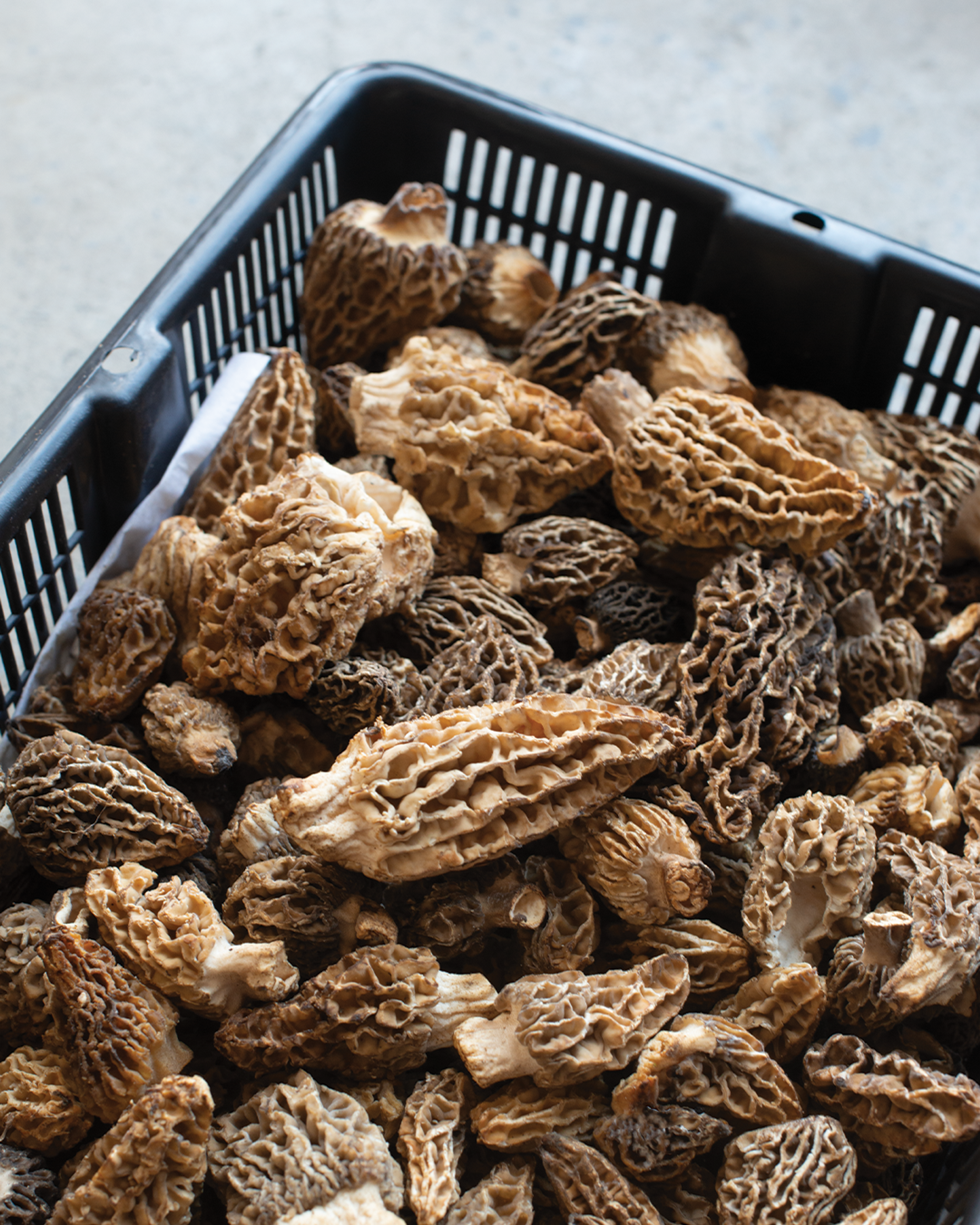 Season planner image