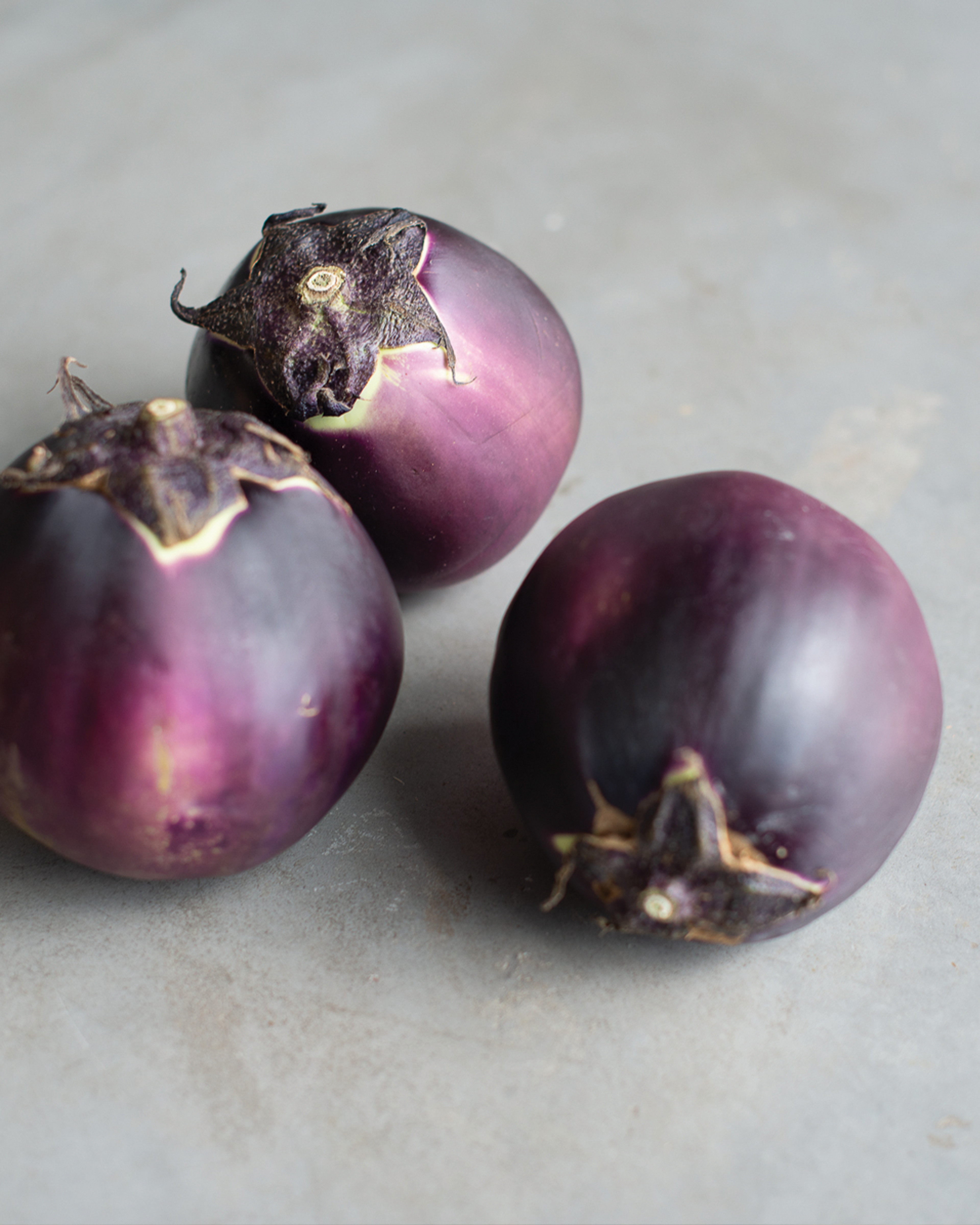 kamo nasu eggplant, suzuki farms