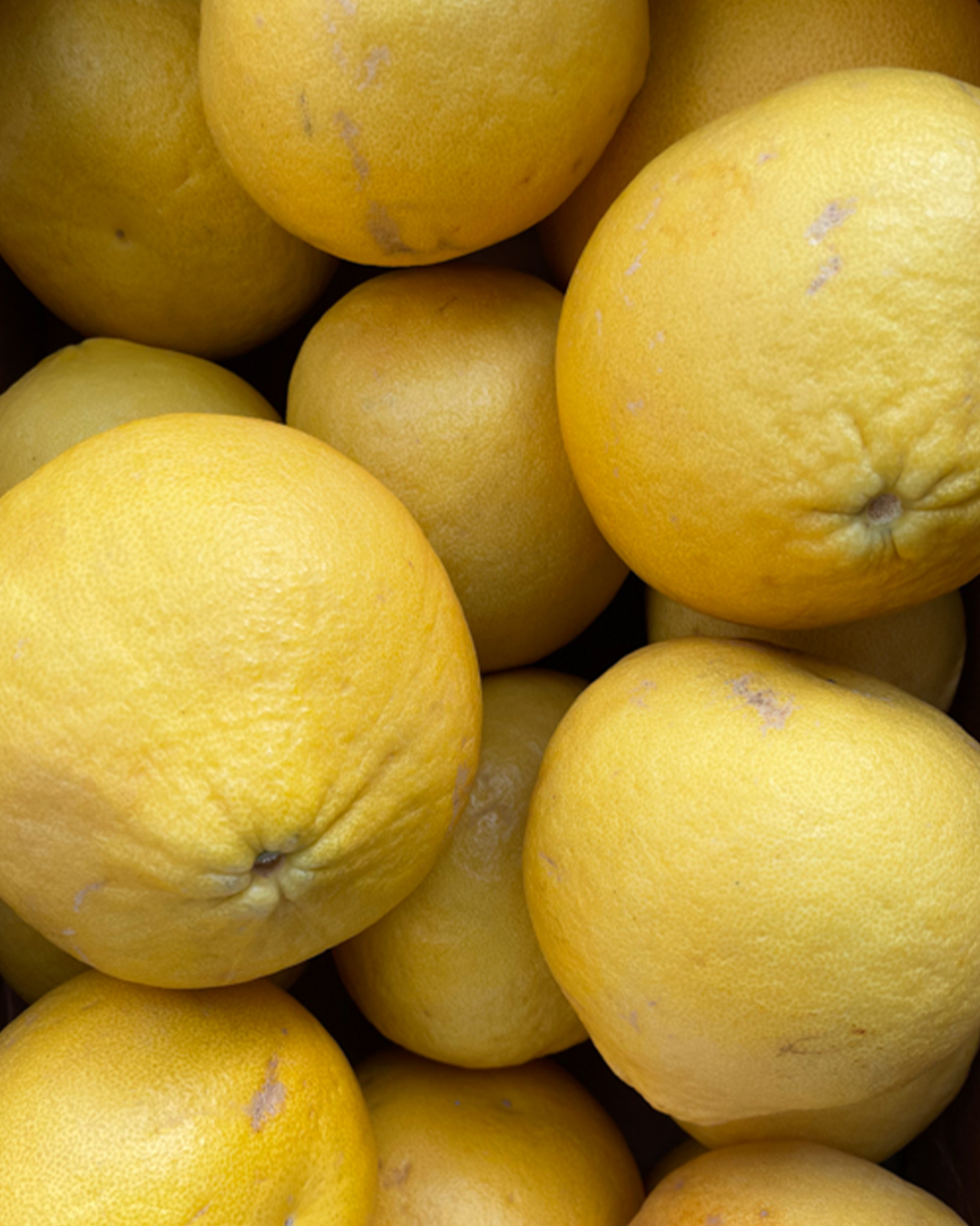 Season planner image