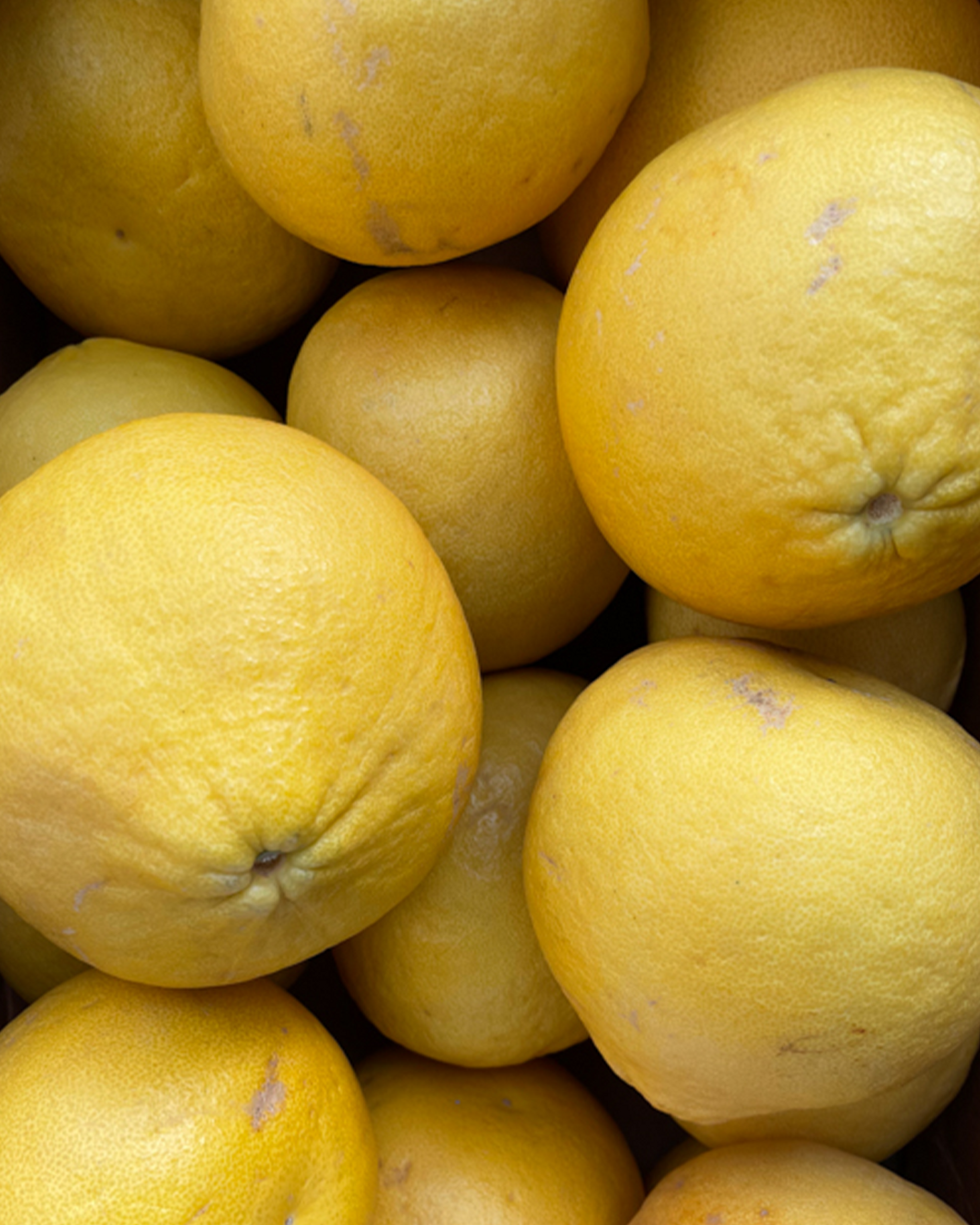 Season planner image