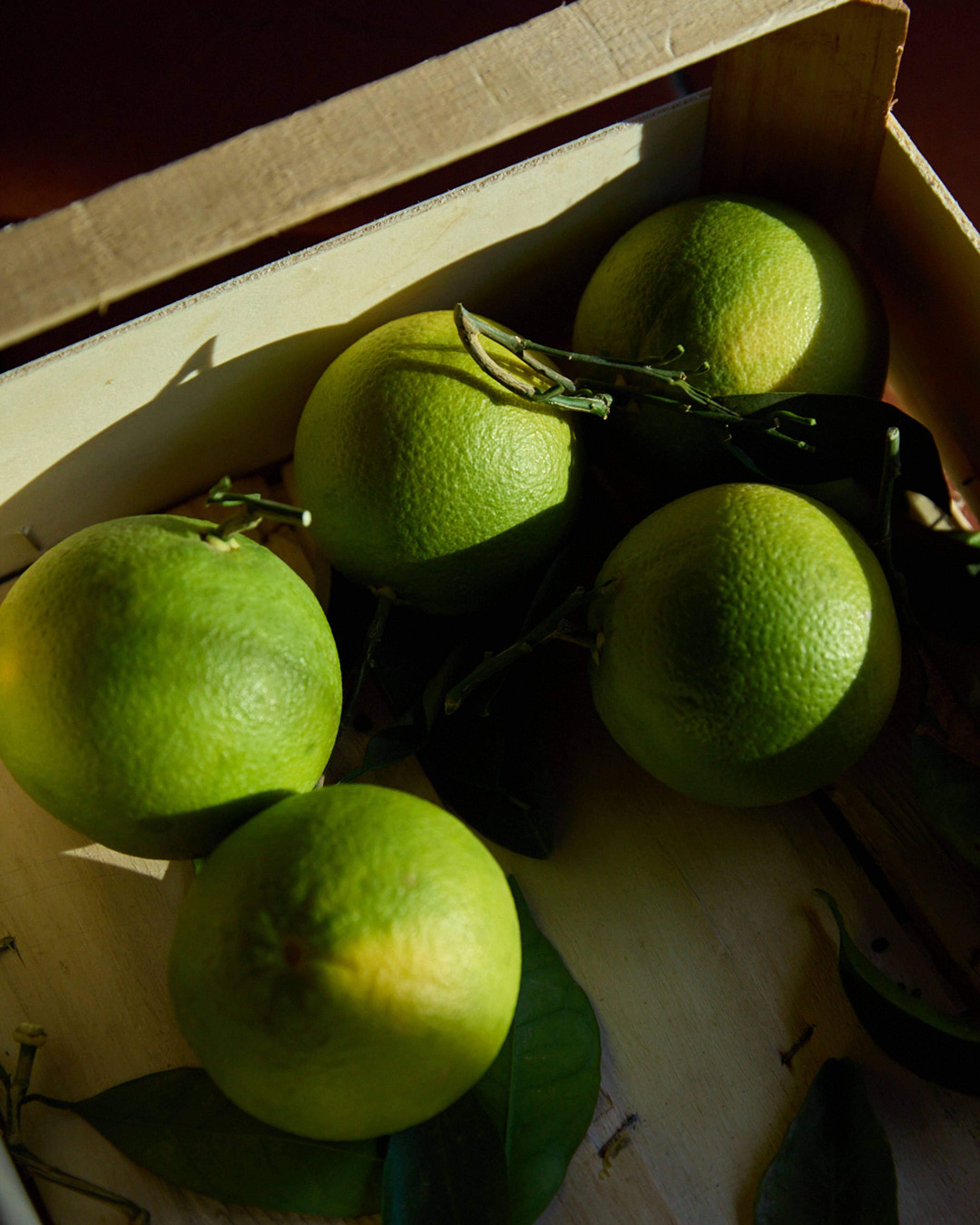 Images with caption alt text