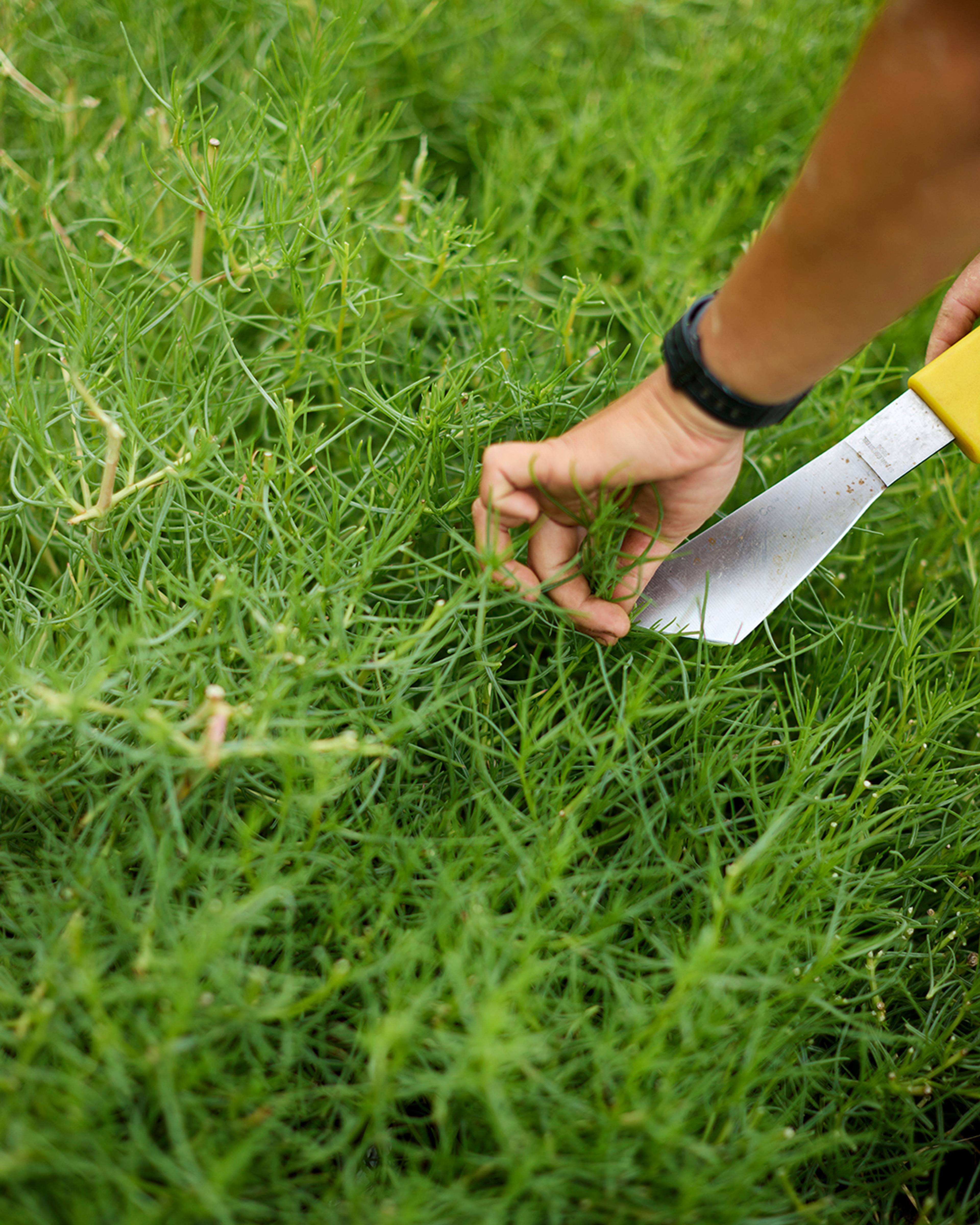 Season planner image
