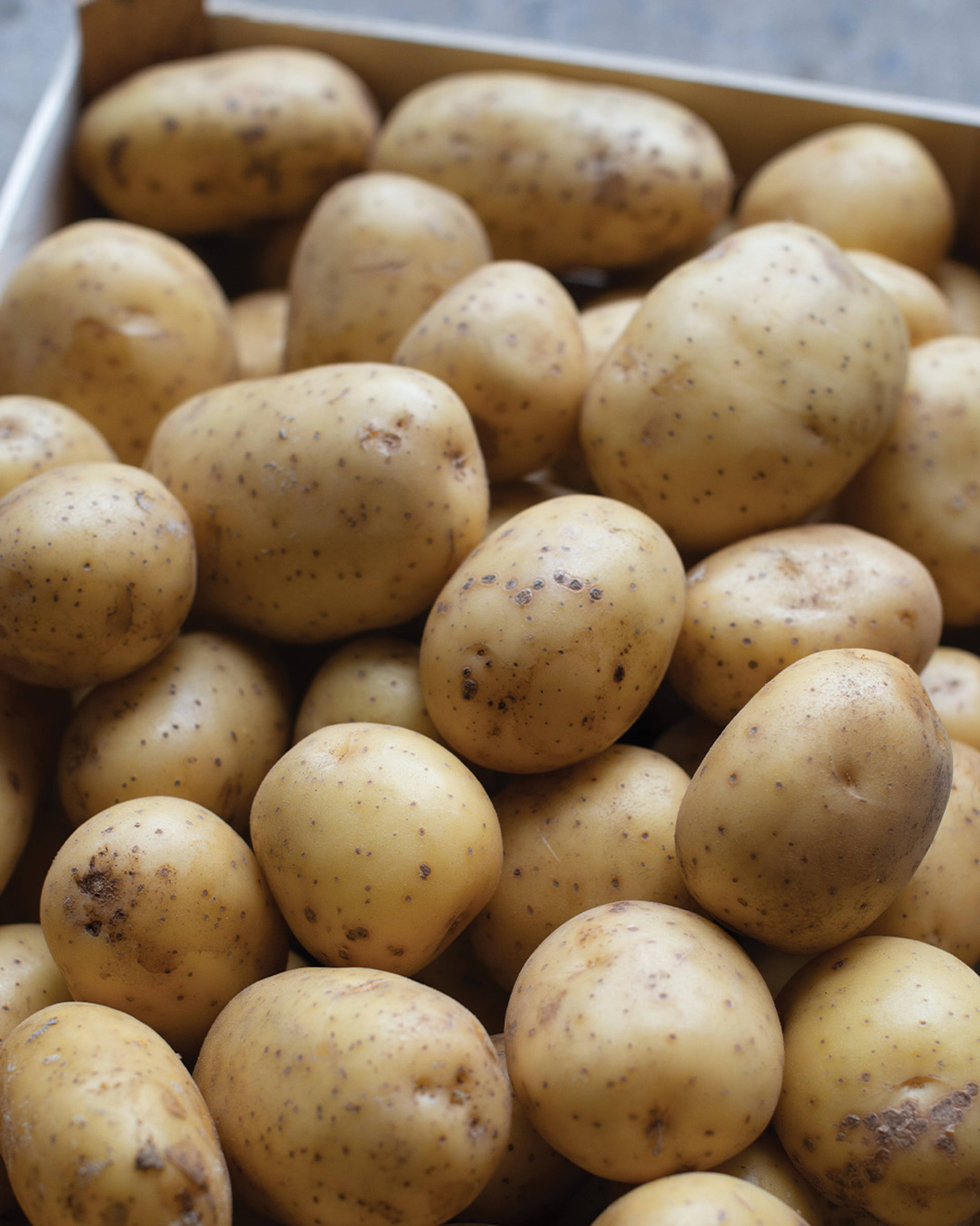 Season planner image