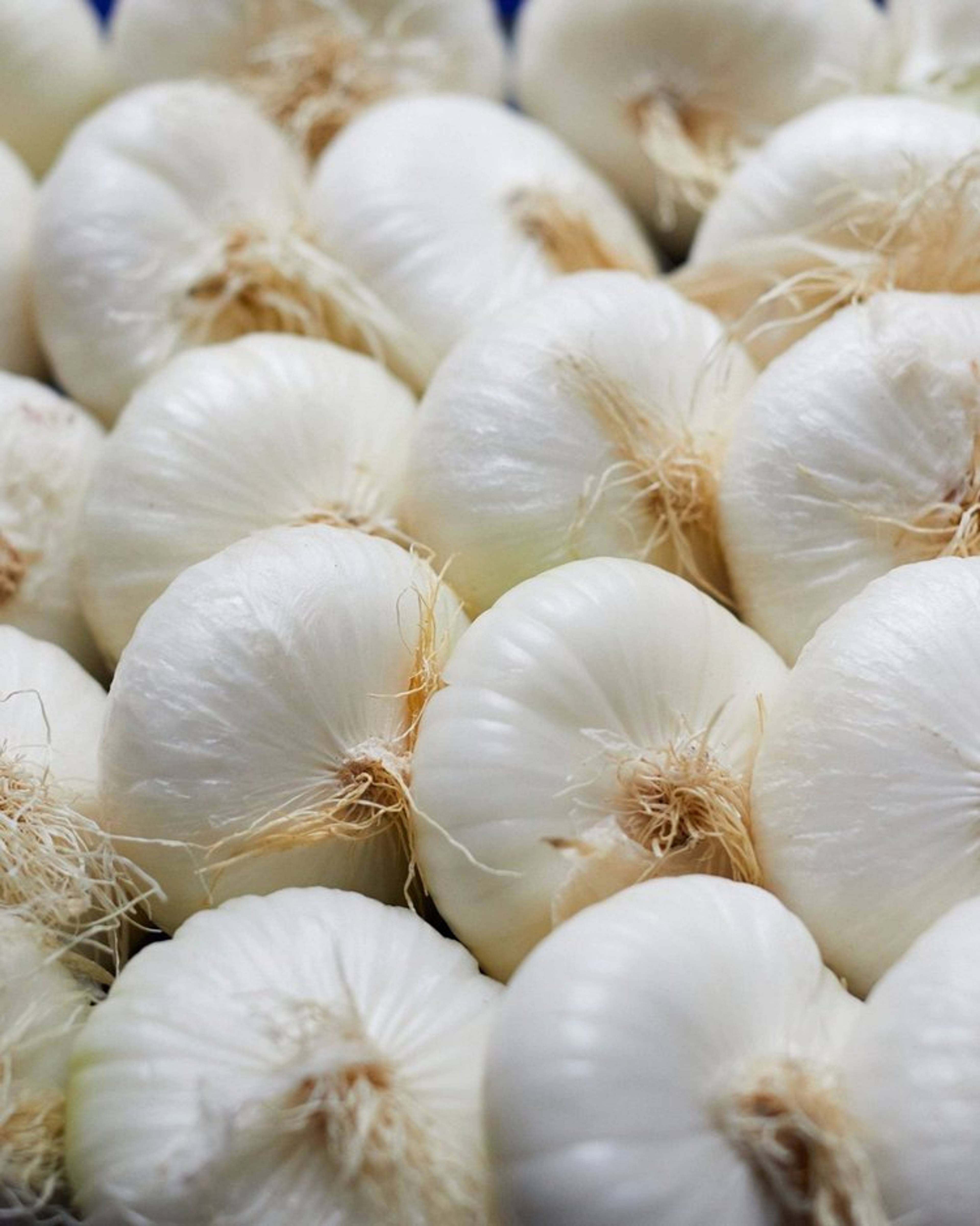 Images with caption alt text