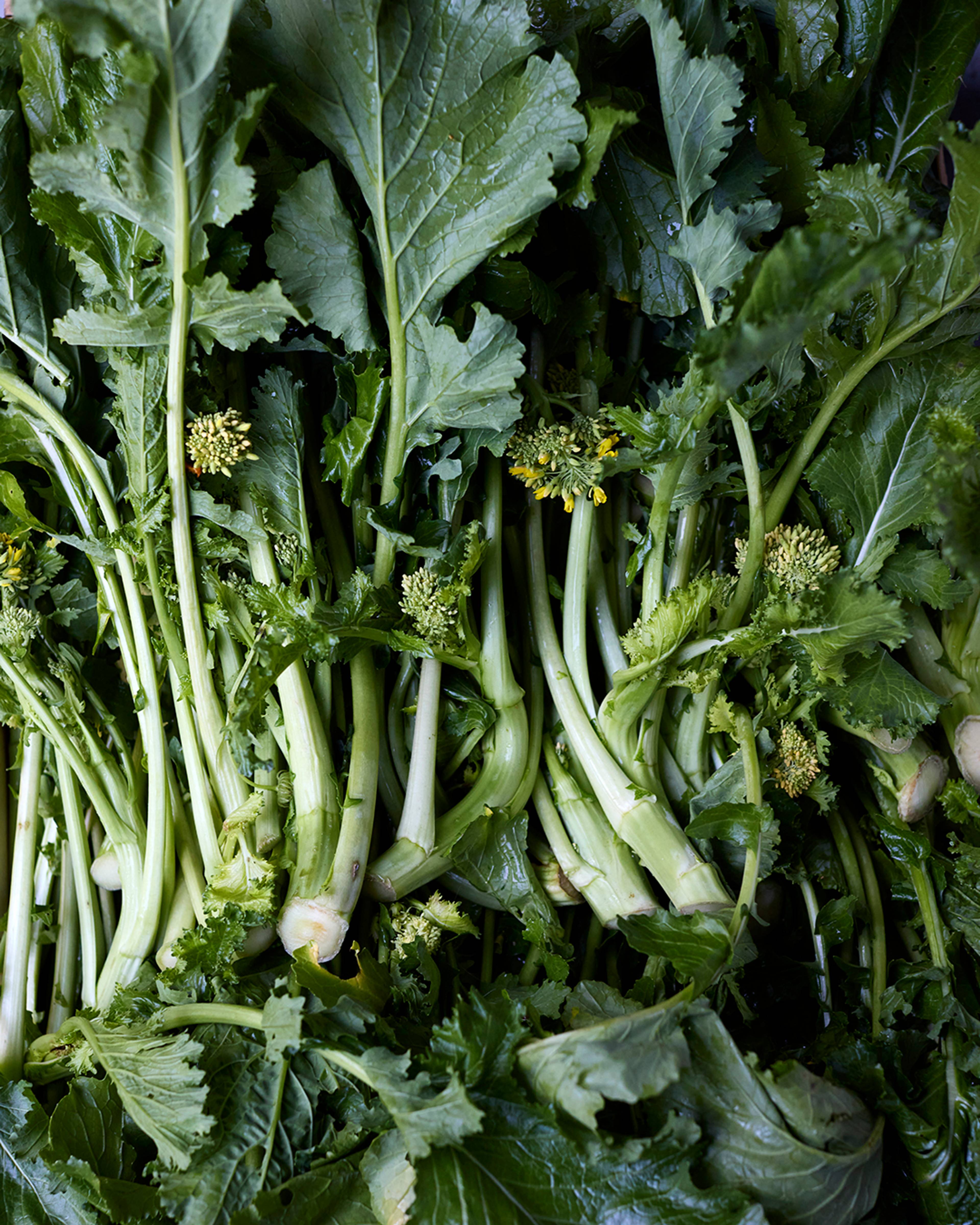 Season planner image