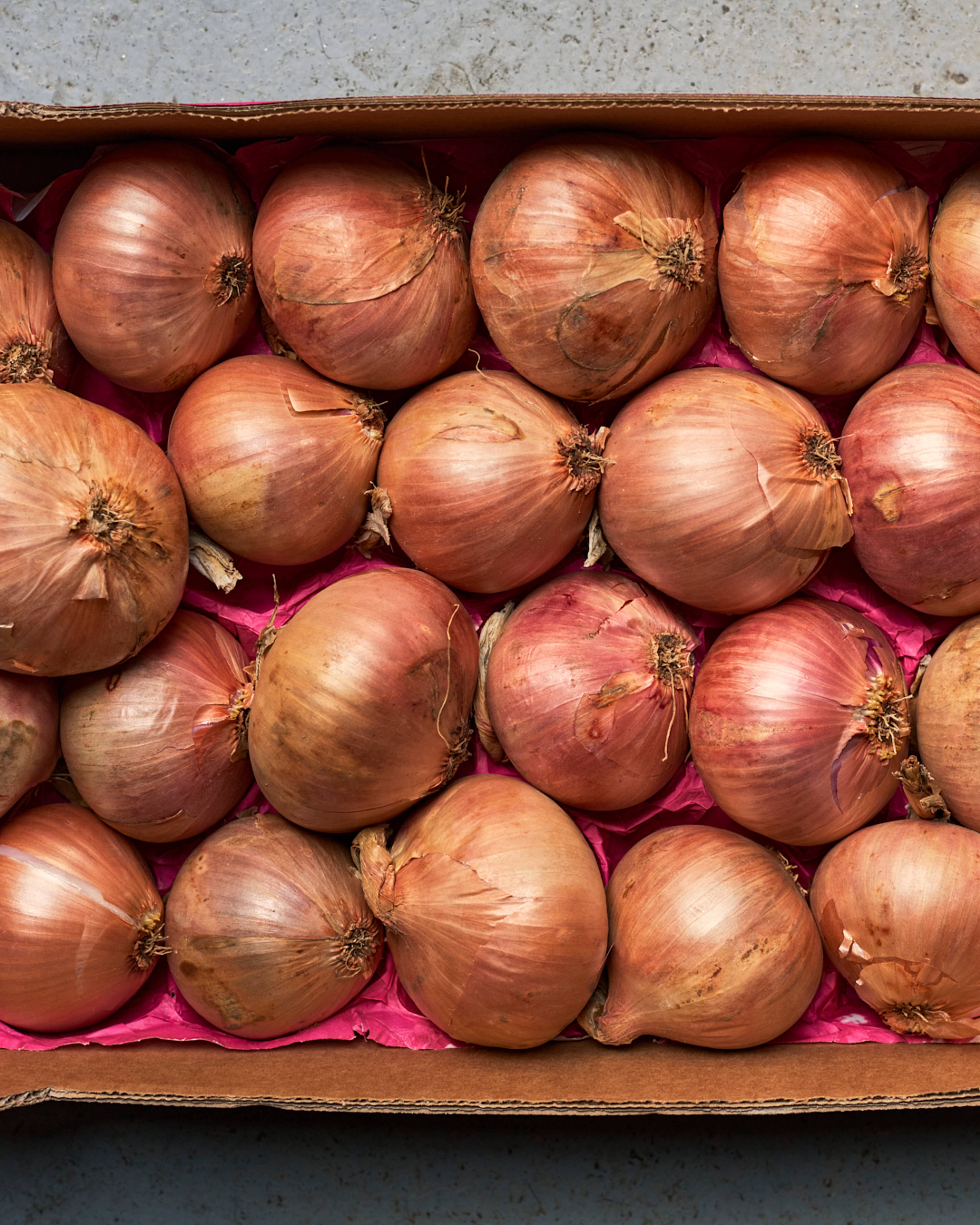 Season planner image