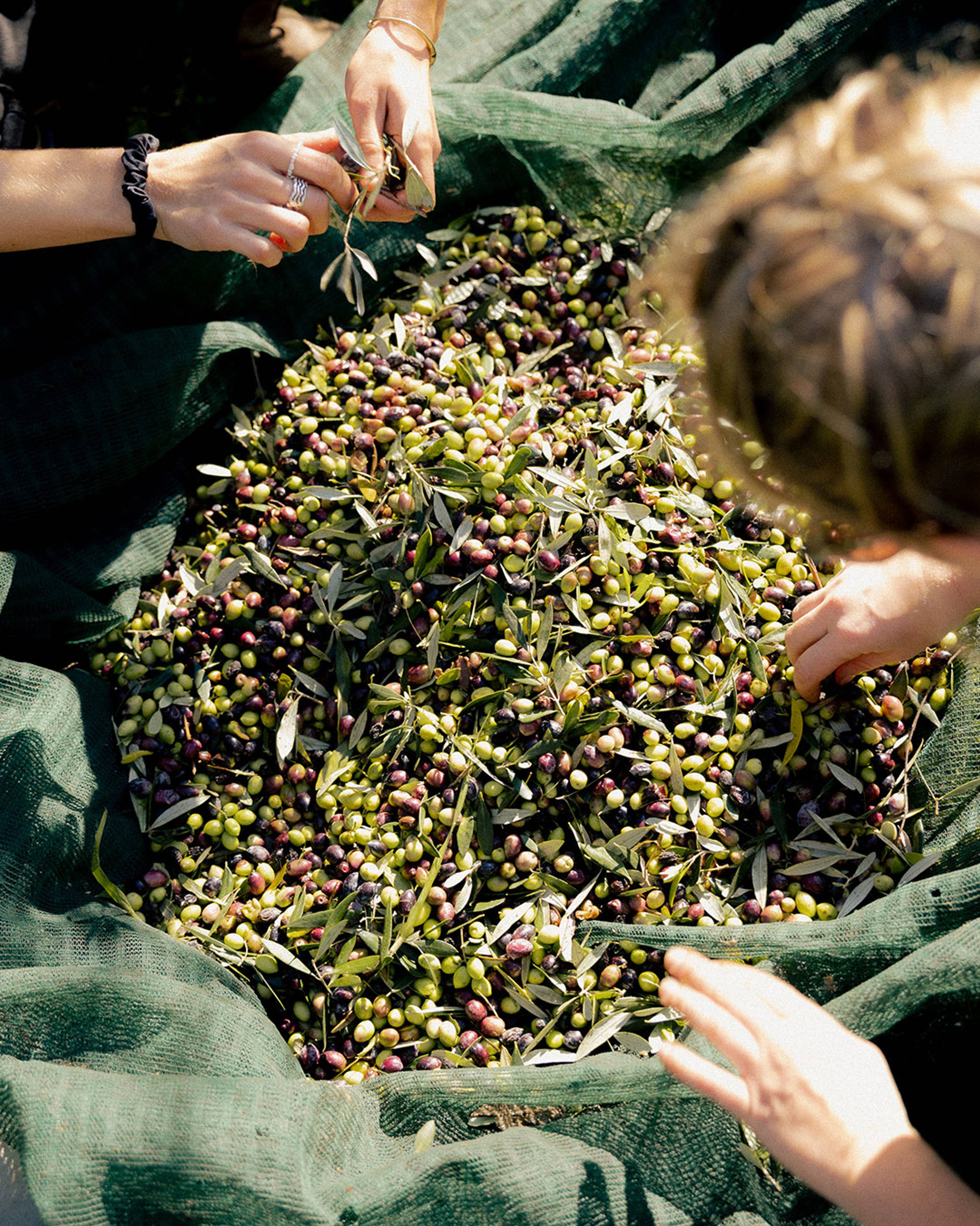 Images with caption alt text