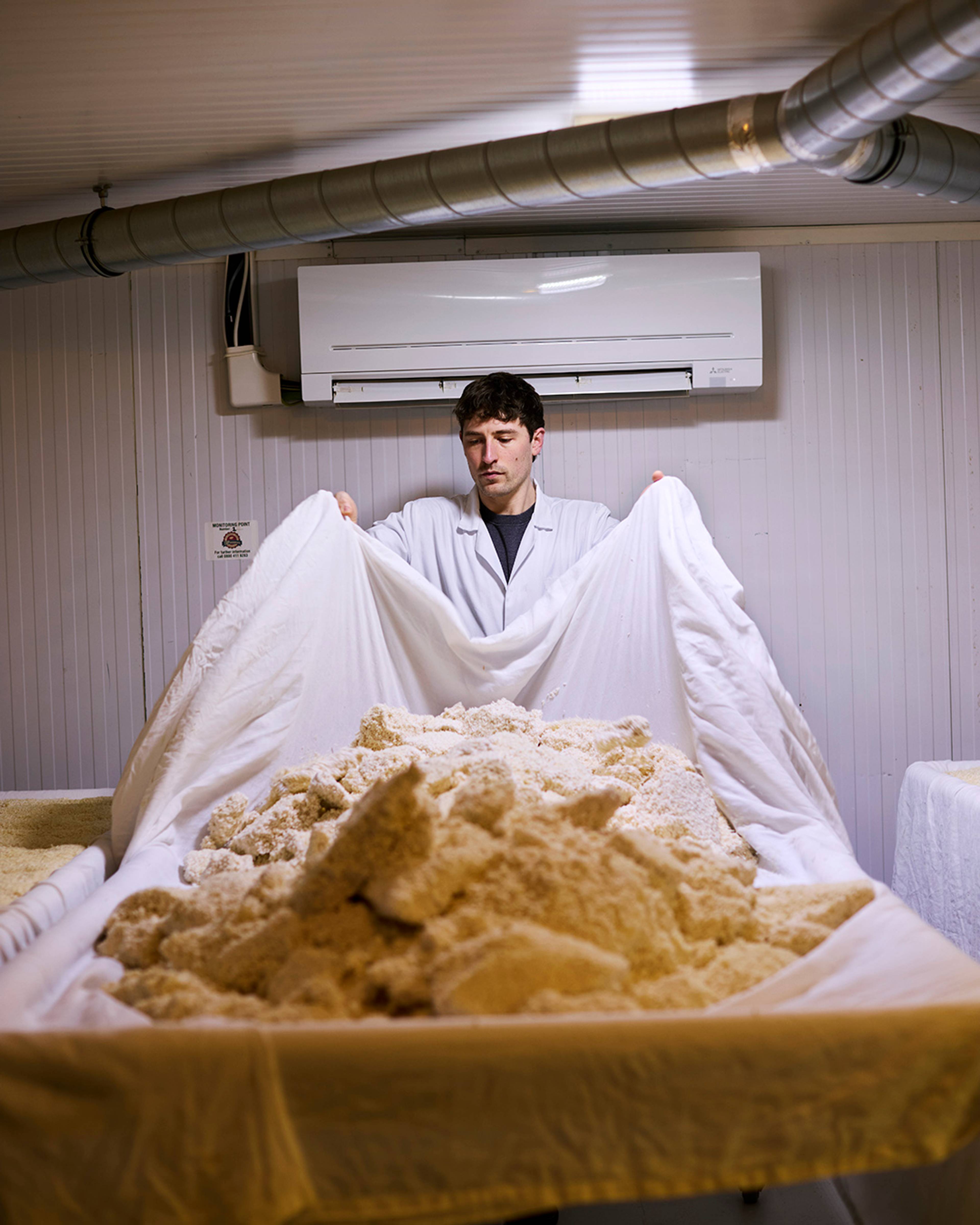 Images with caption alt text