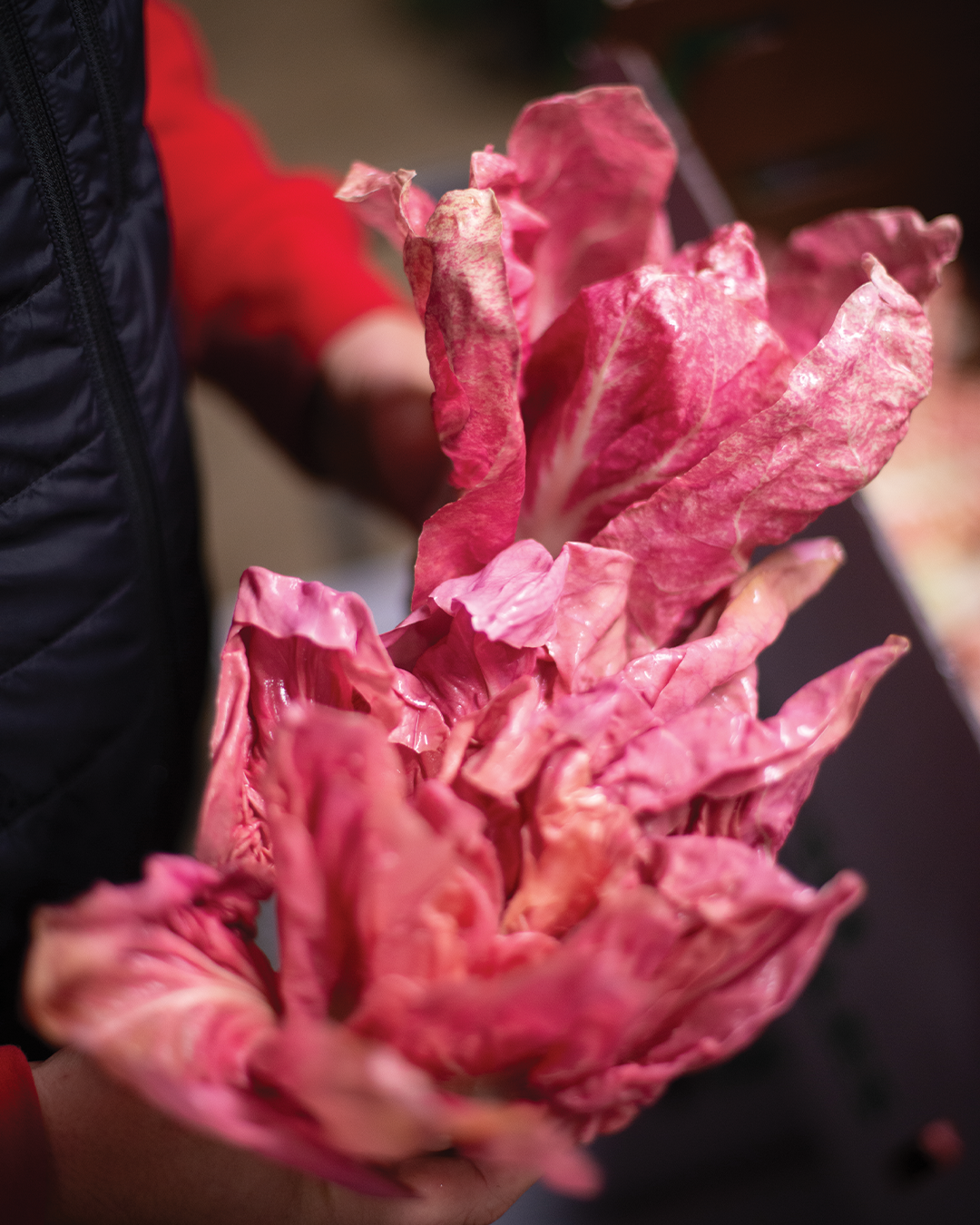 Season planner image