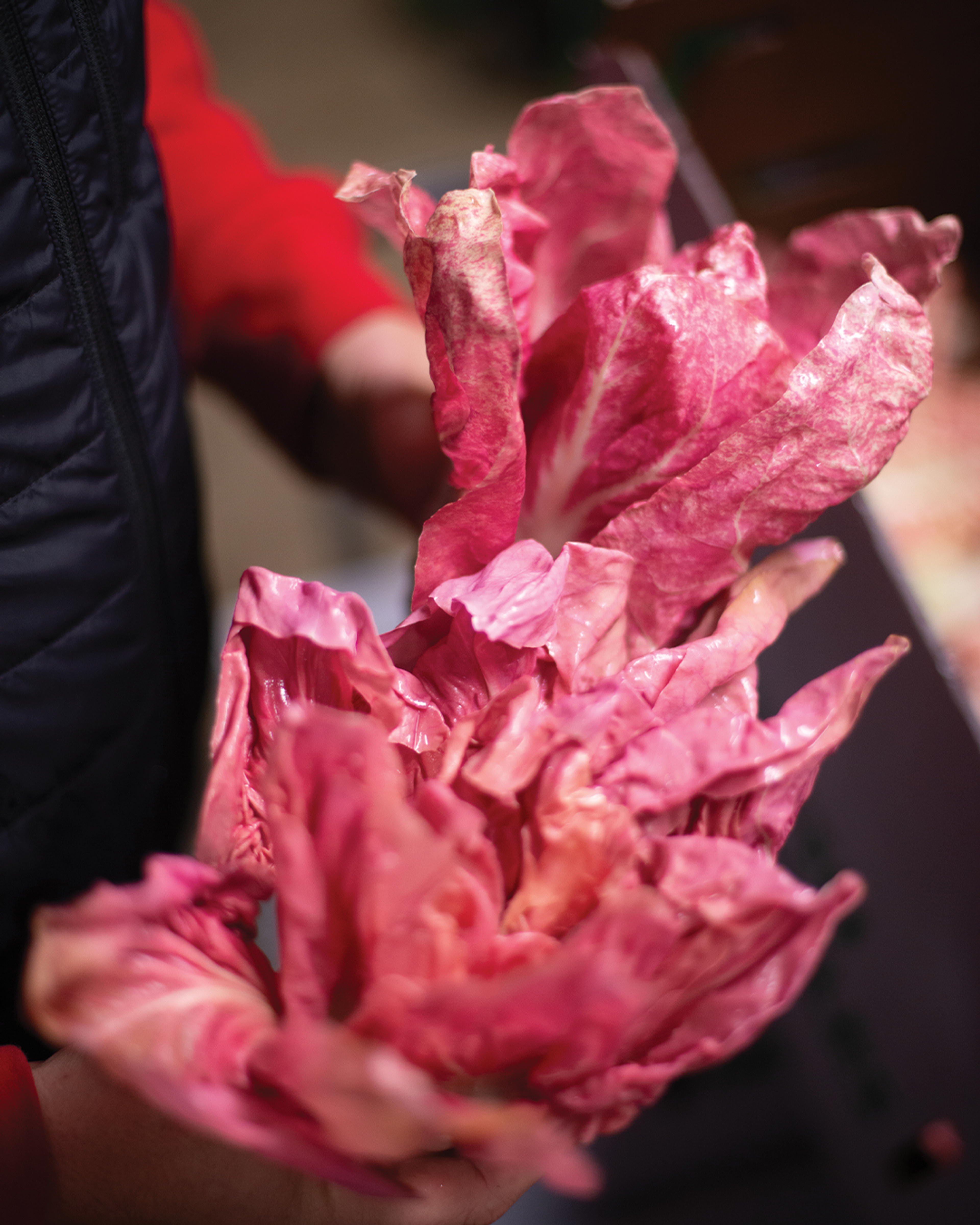 Season planner image