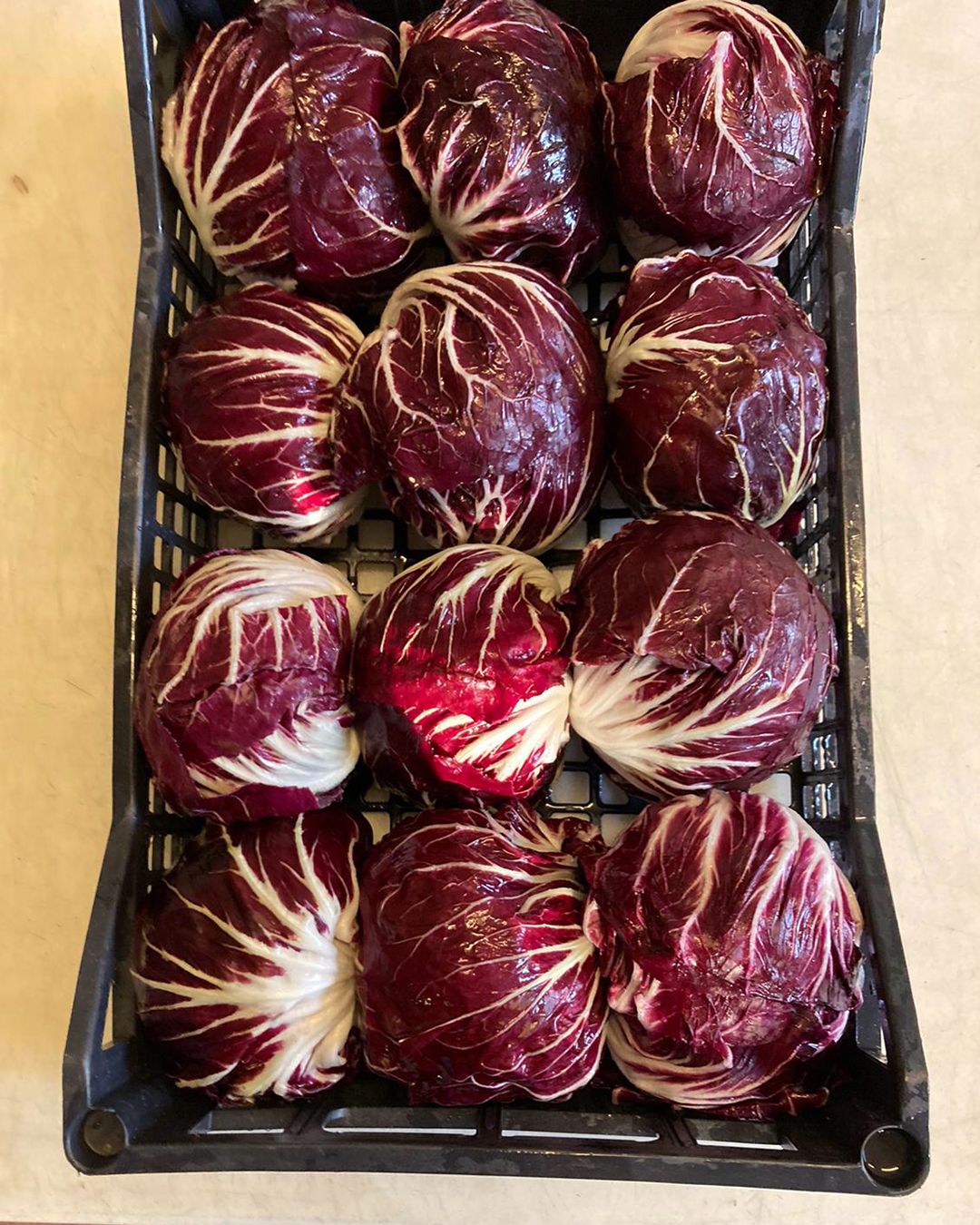 Season planner image