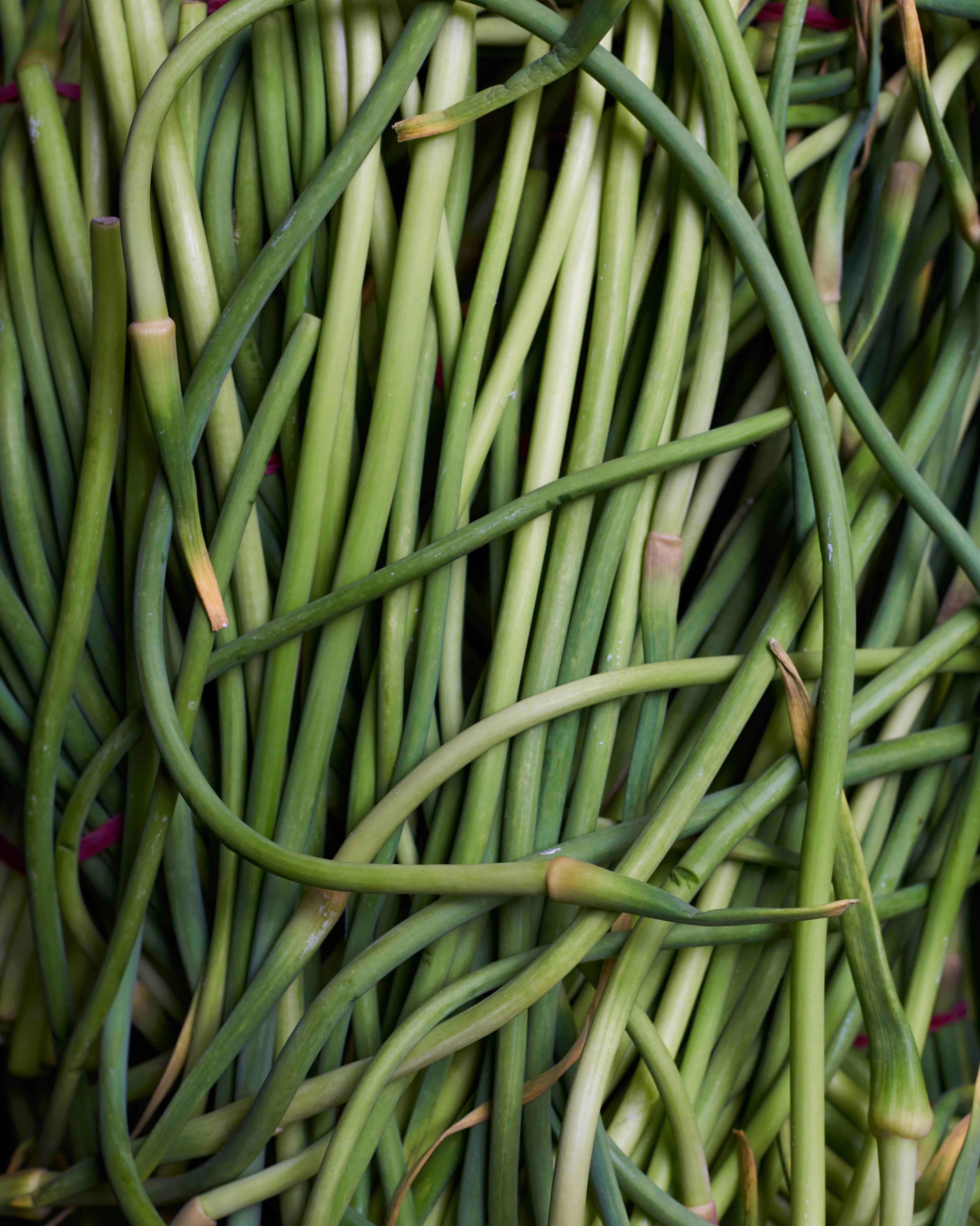 garlic scapes