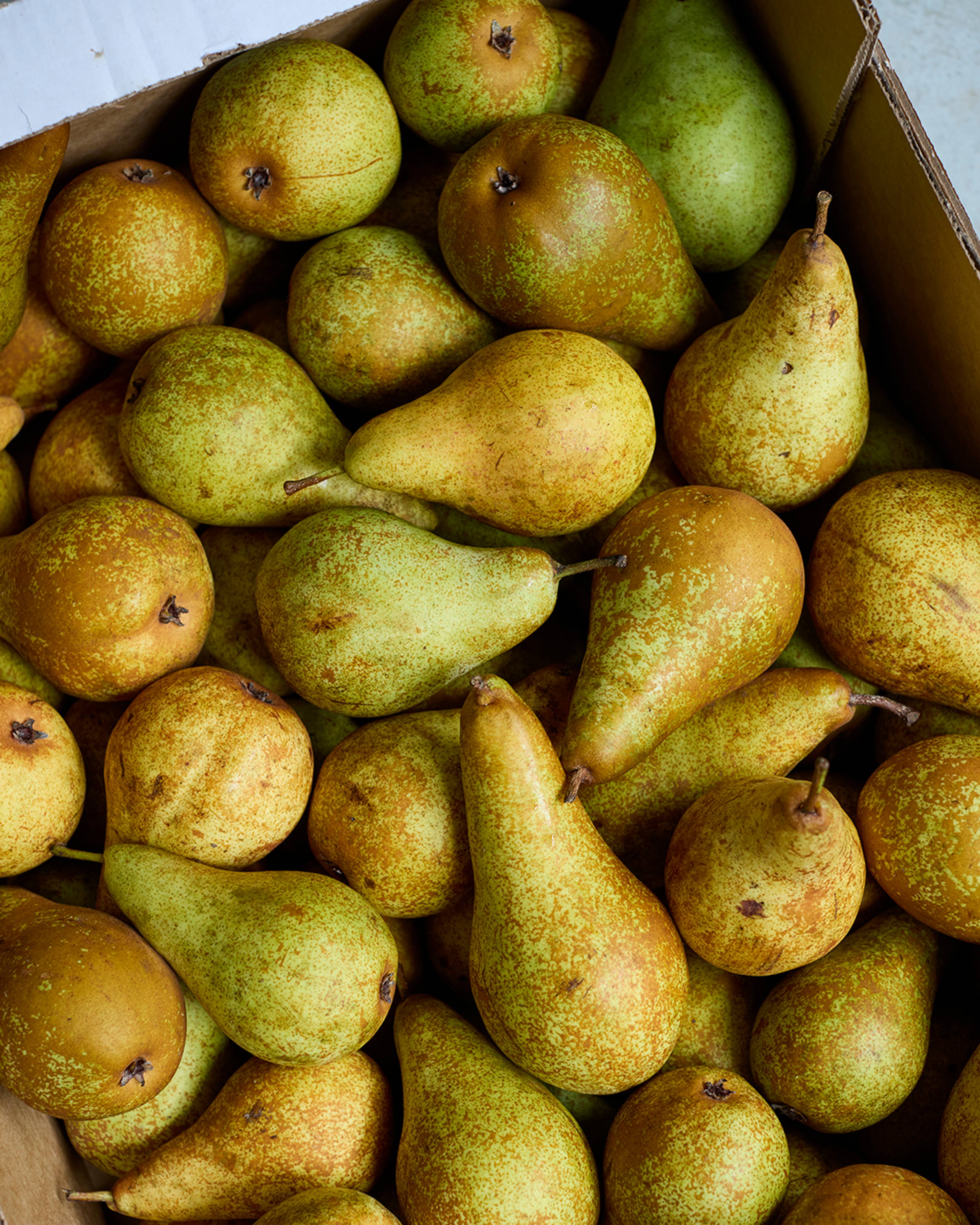 Season planner image