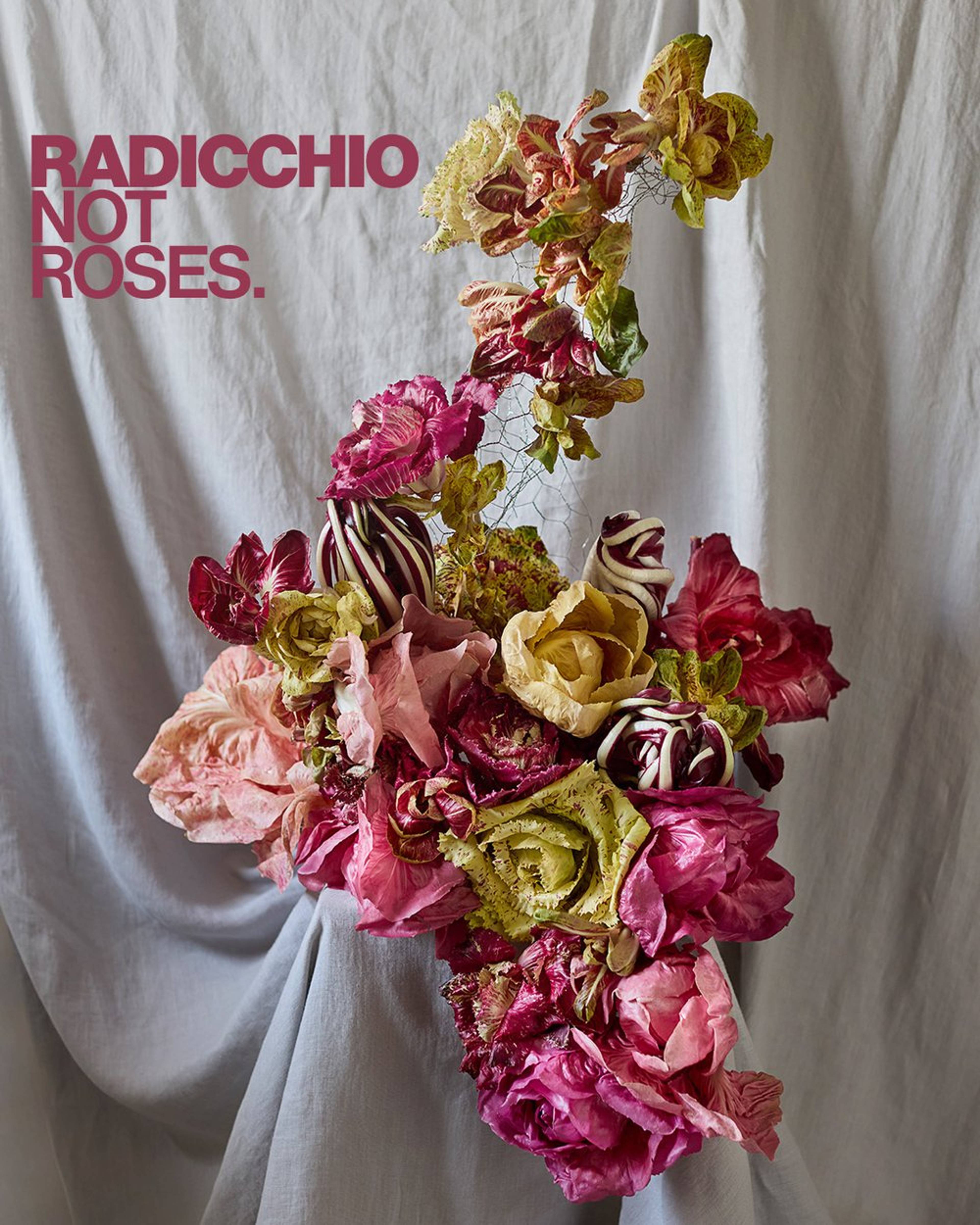 Floral display made of radicchio varieties