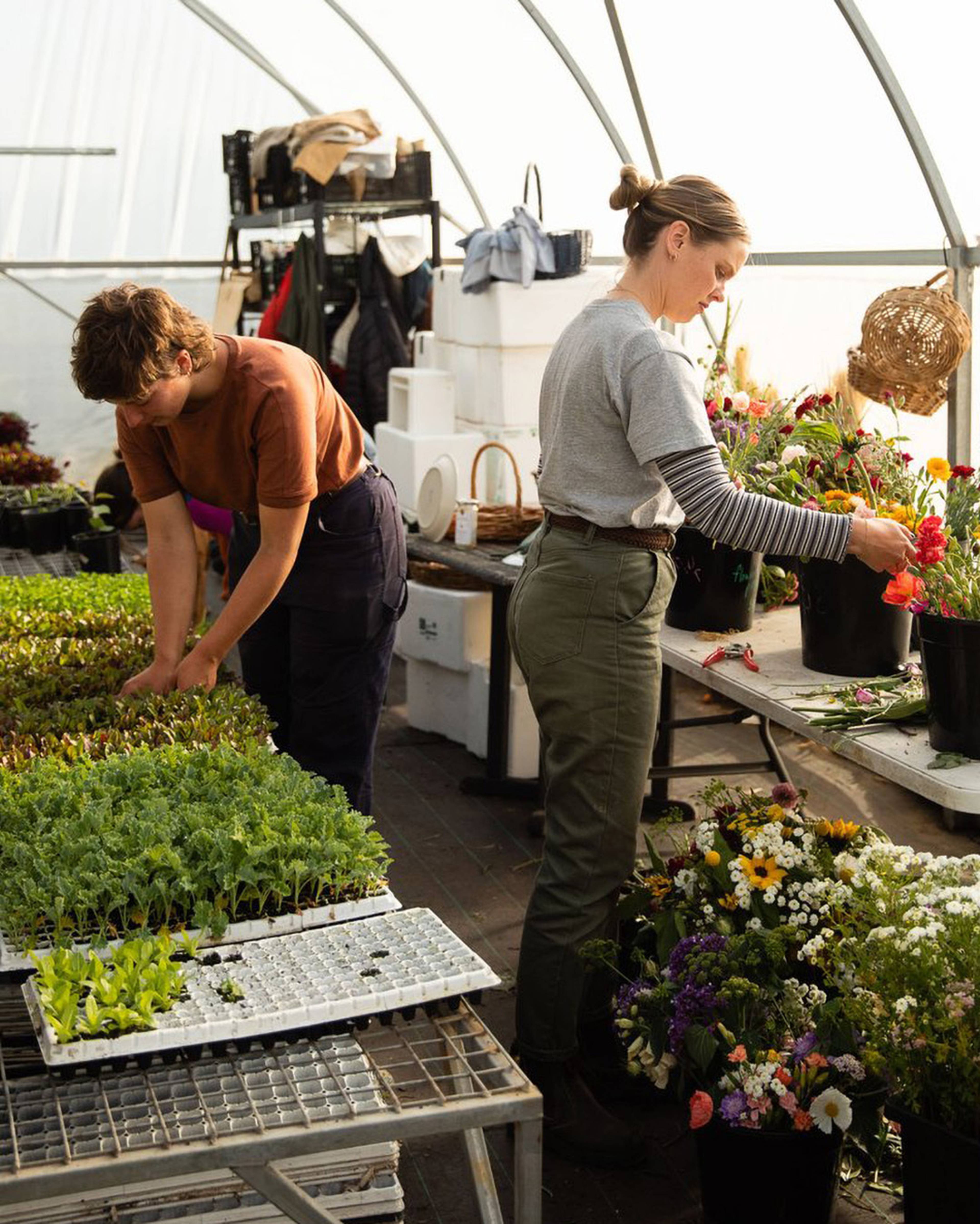 Images with caption alt text