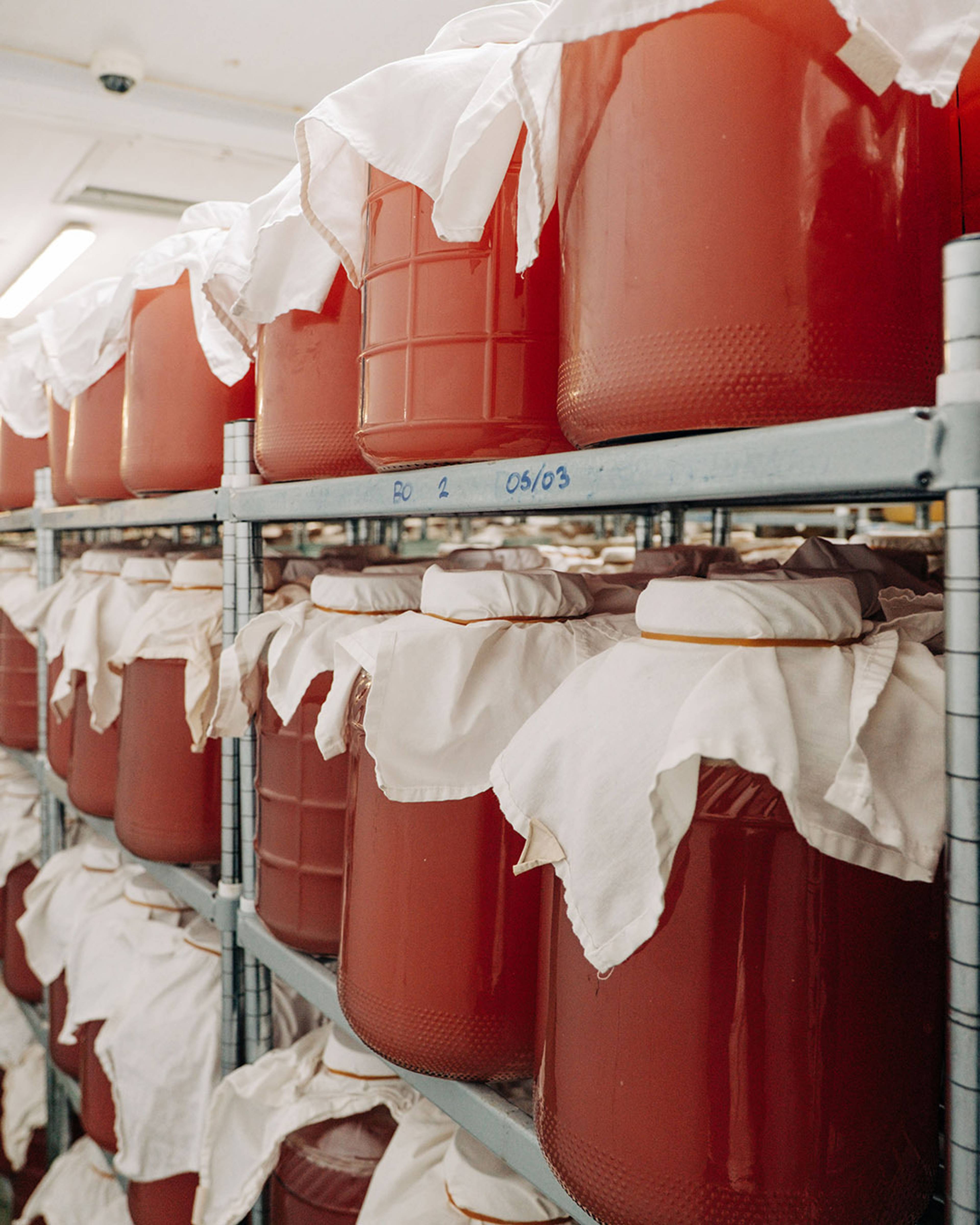 Images with caption alt text