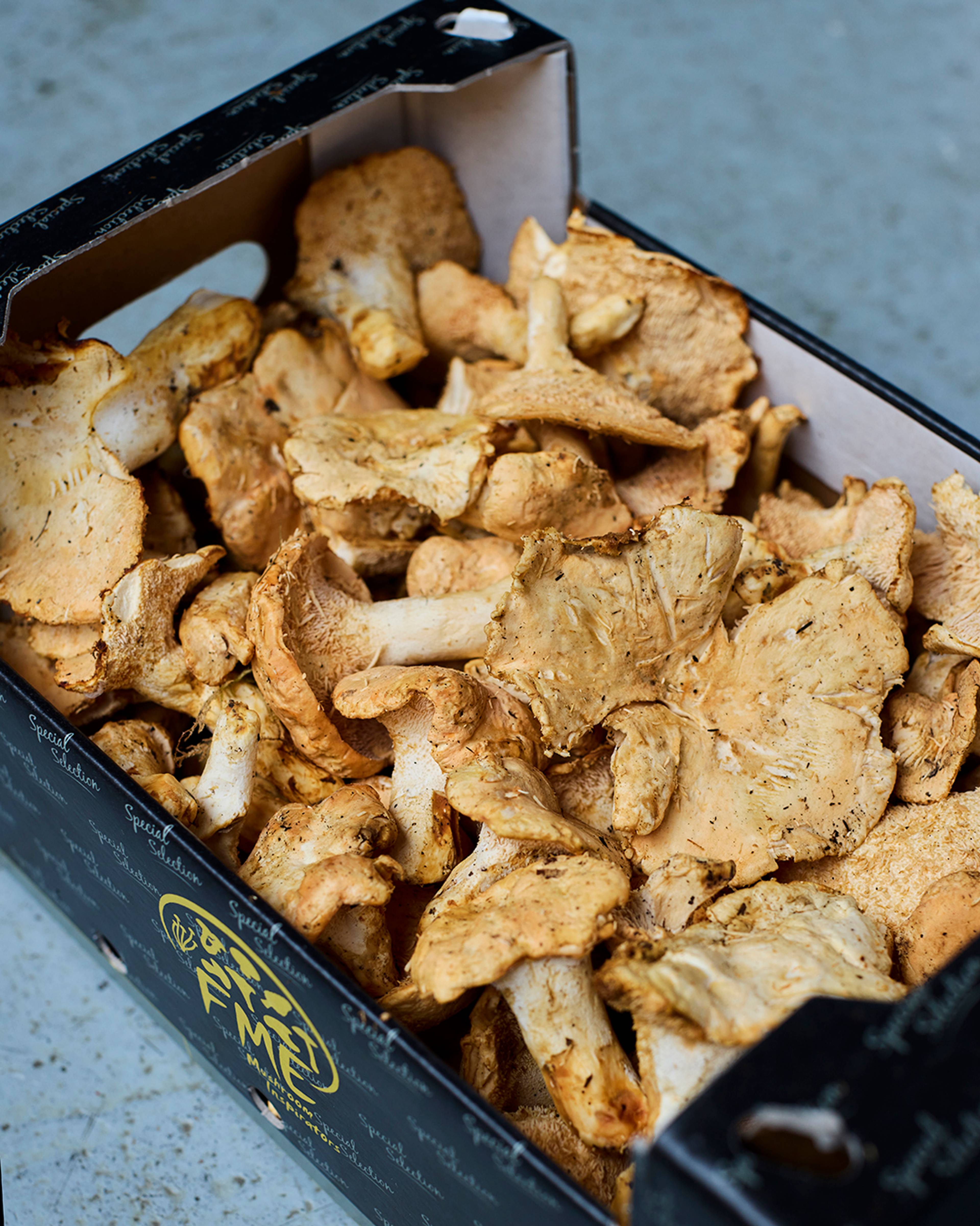 Season planner image