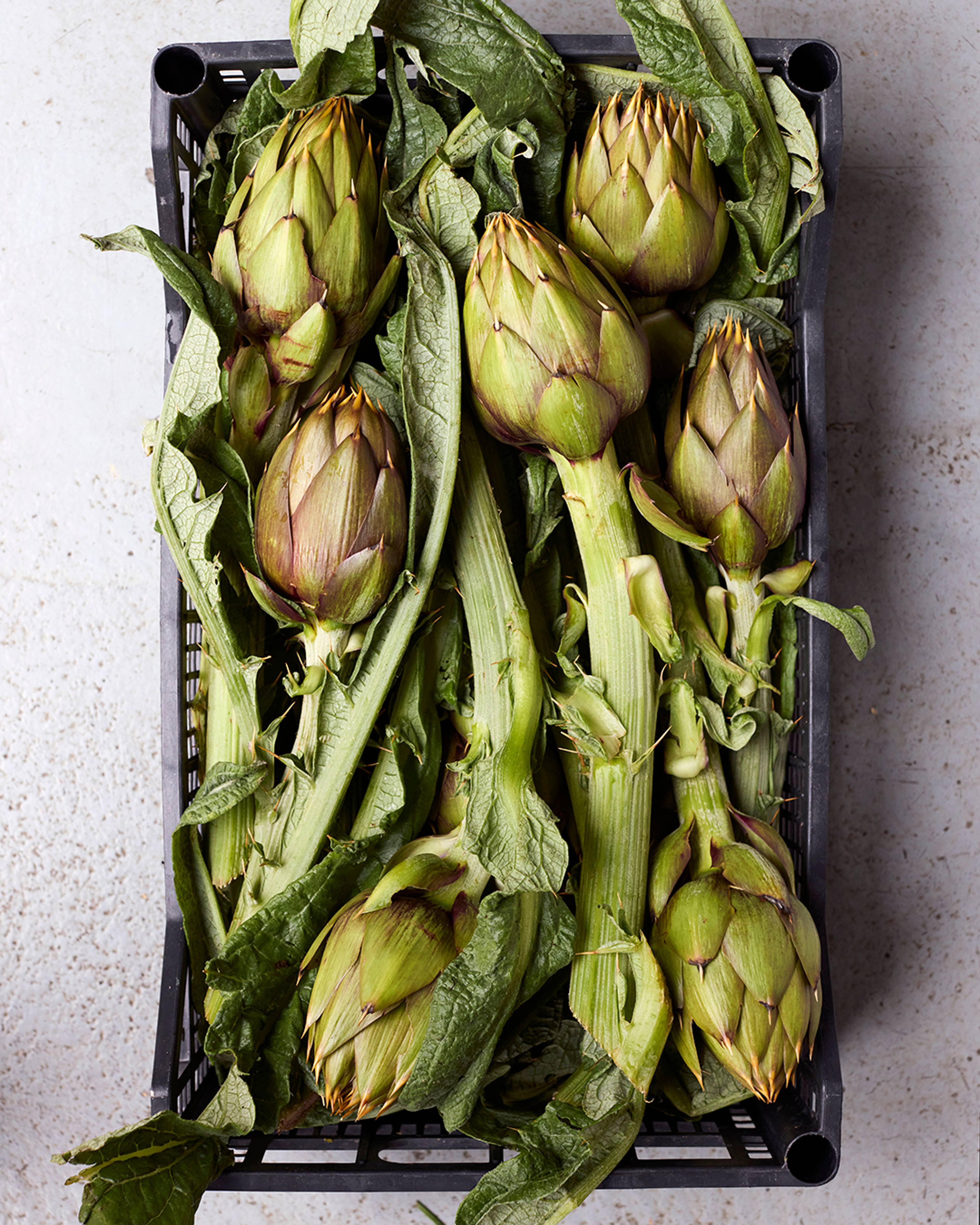 Season planner image