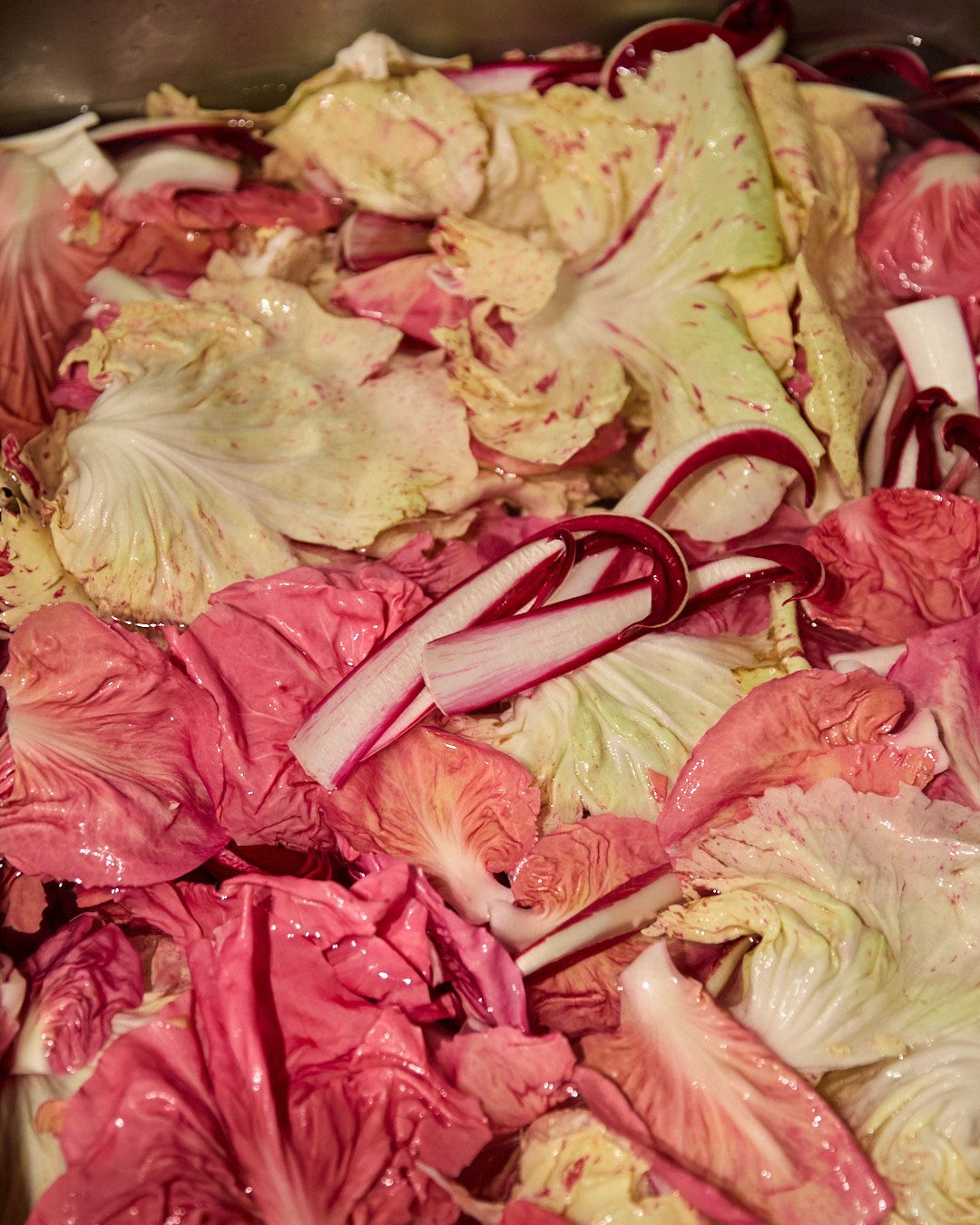 Images with caption alt text