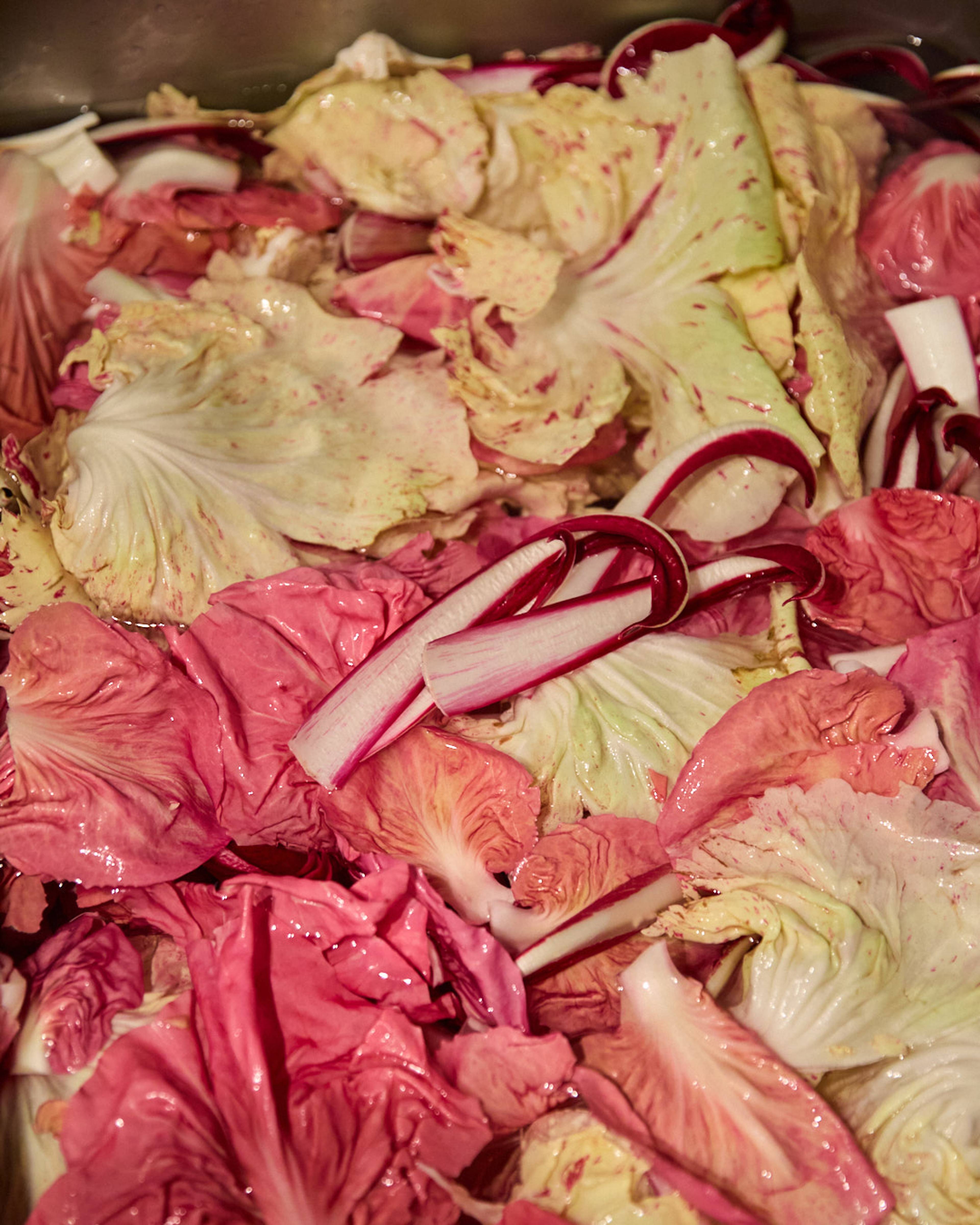 Images with caption alt text