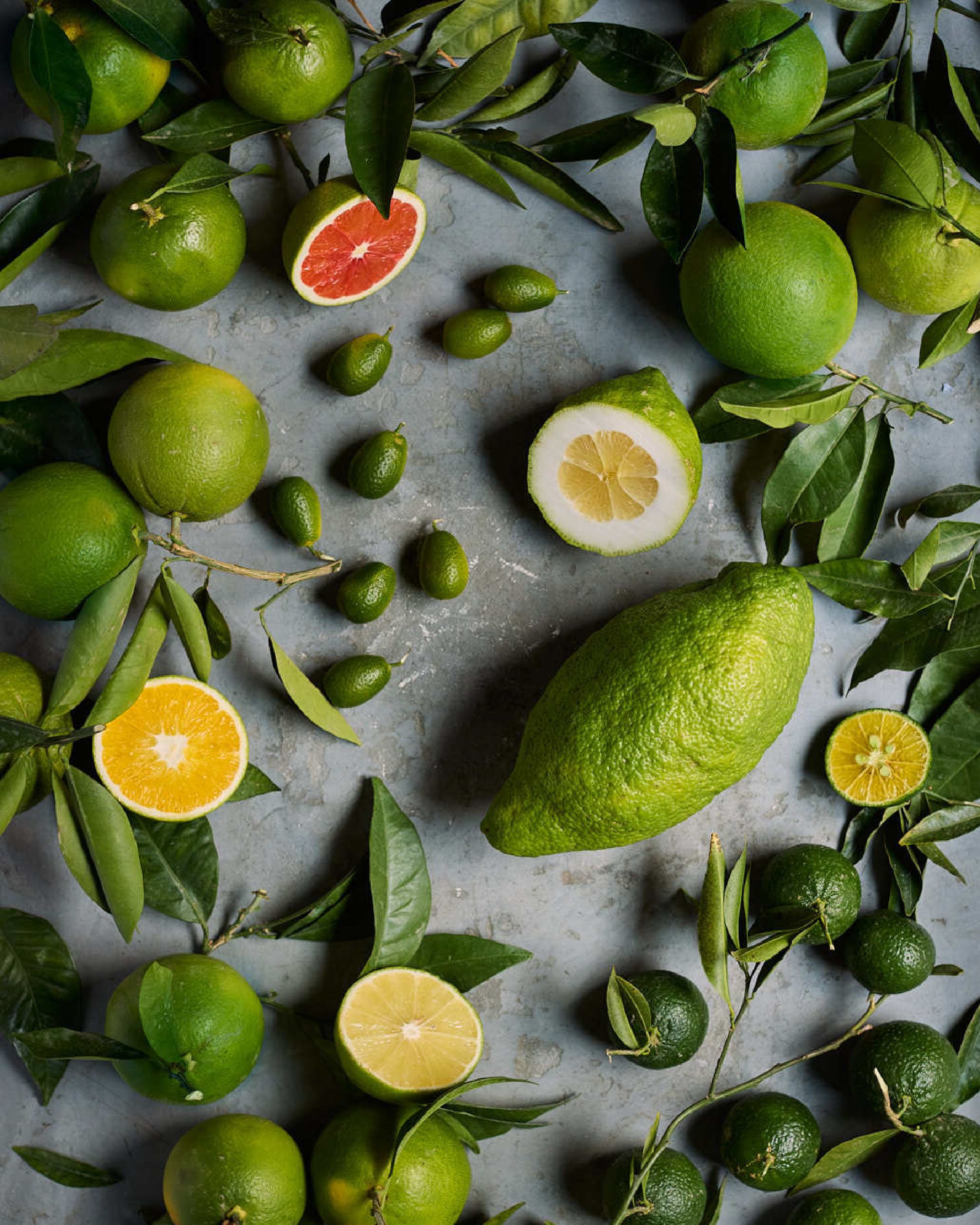 Images with caption alt text