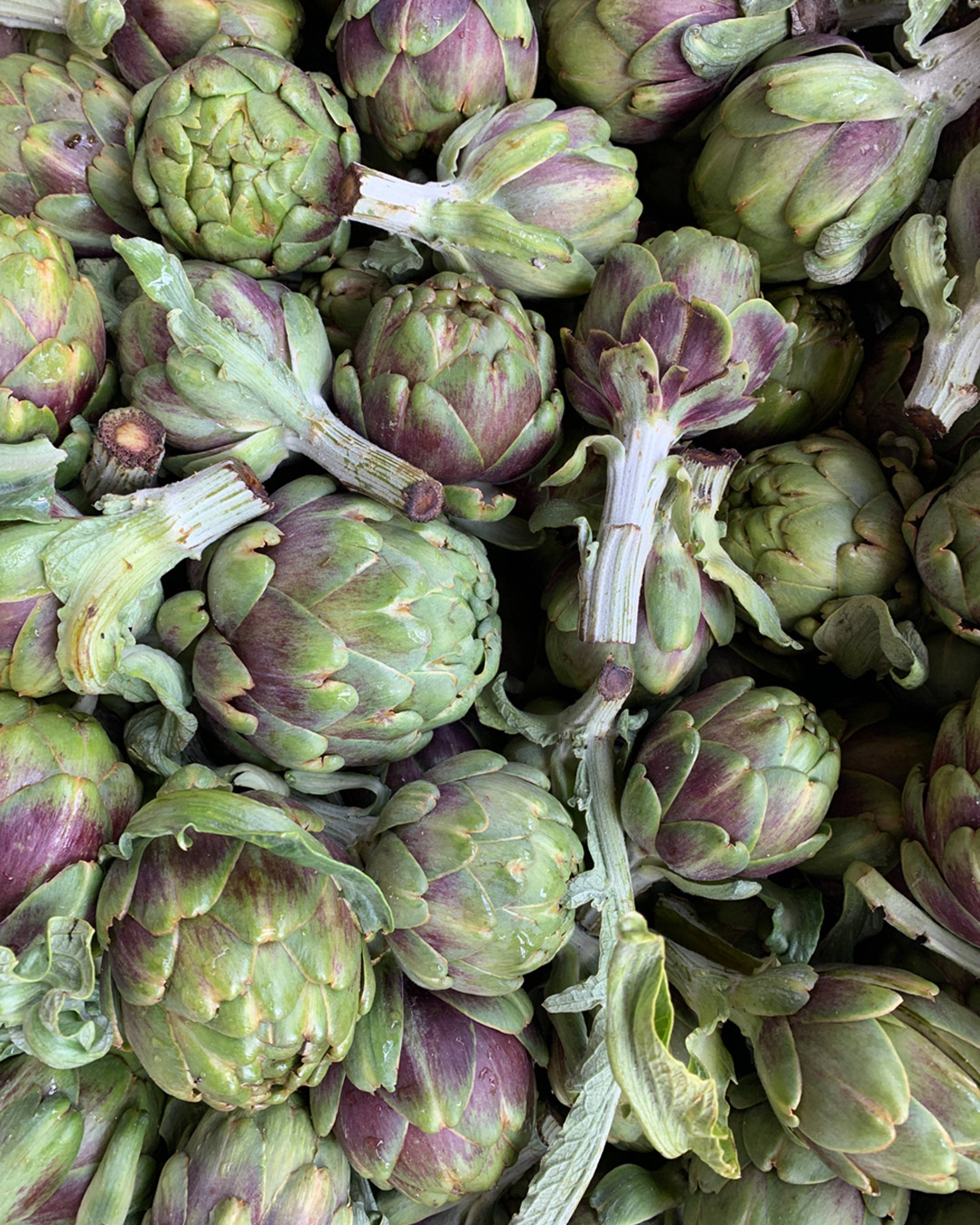 Season planner image