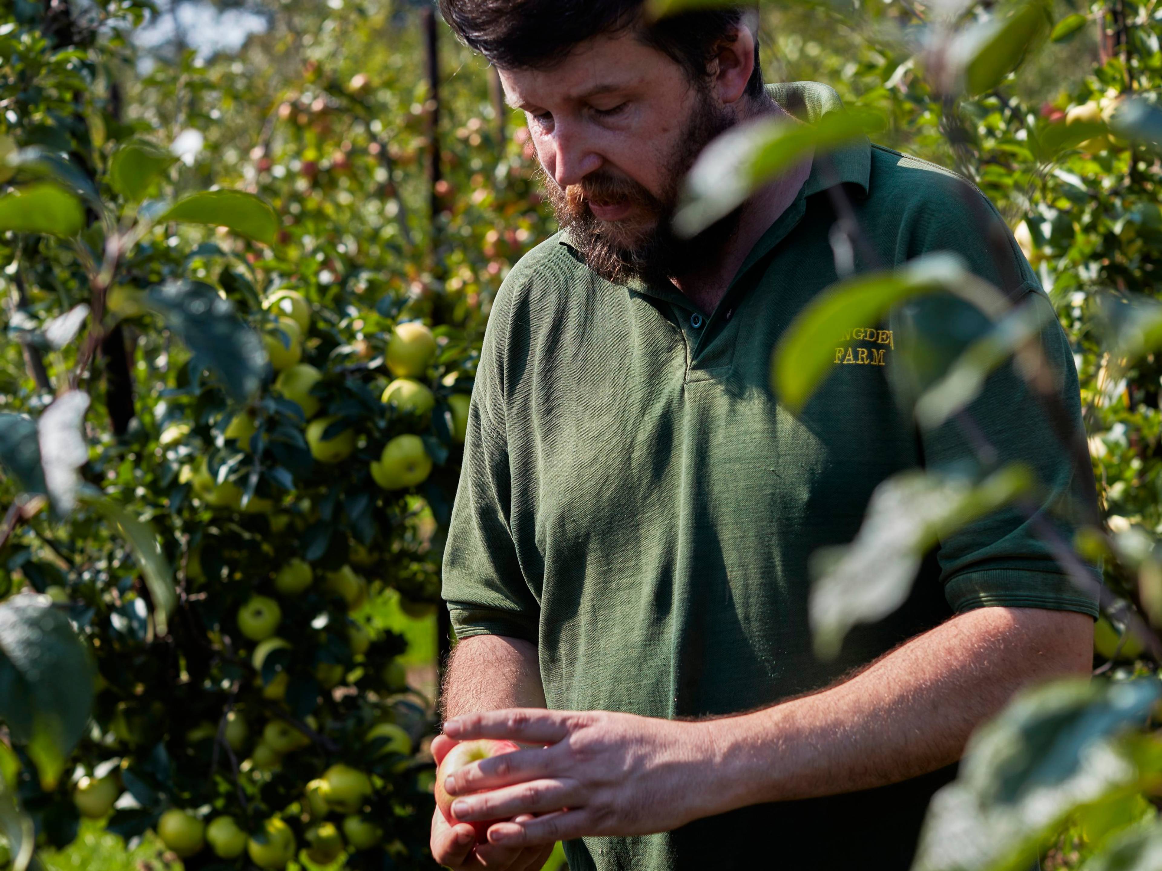 john holding an apple in his hand in the orchard