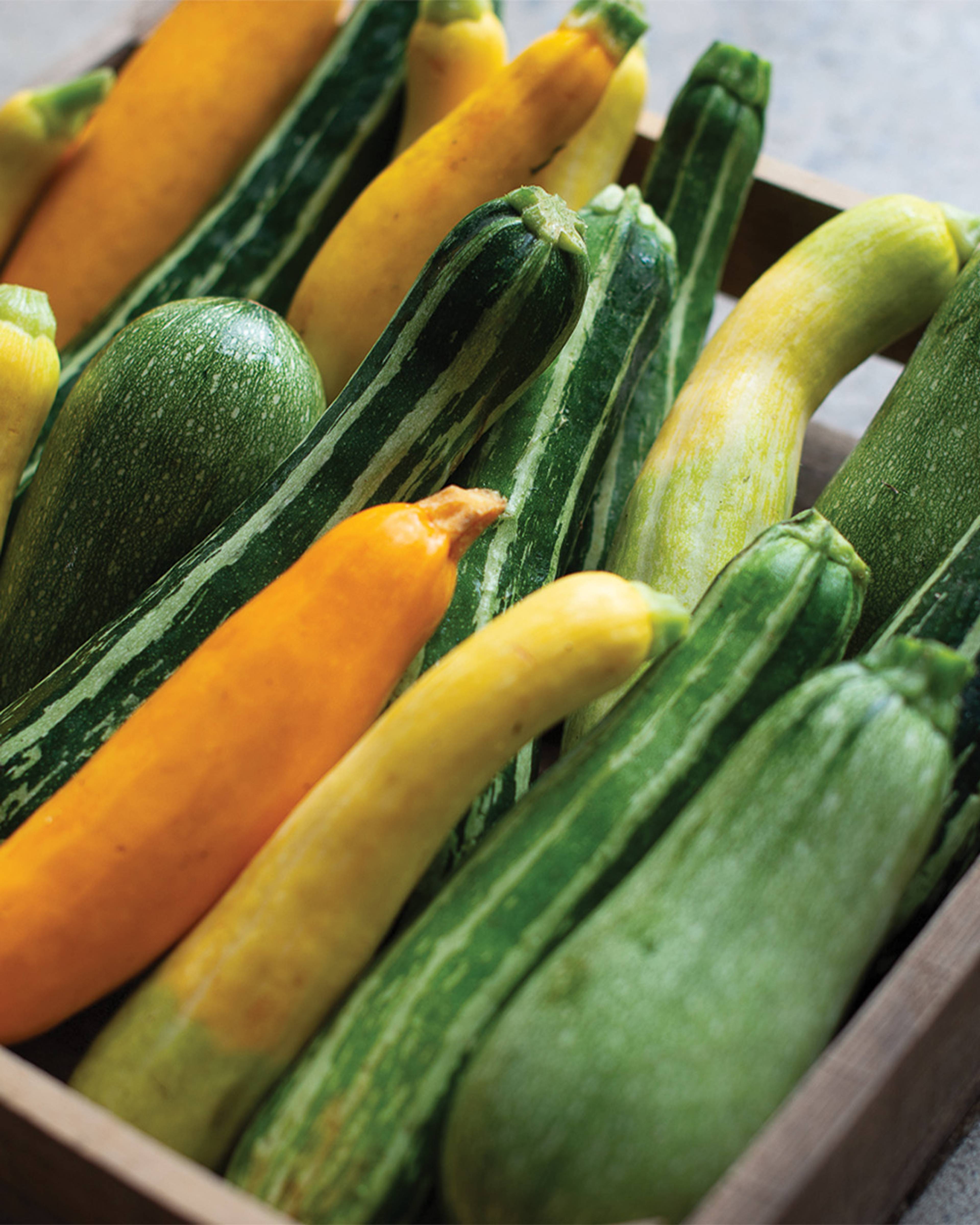 mixed summer squash in crate