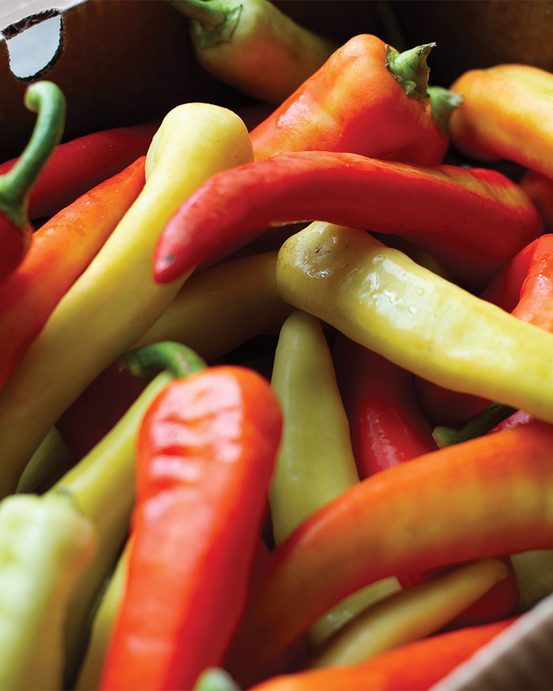 Red, yellow and orange peppers in box