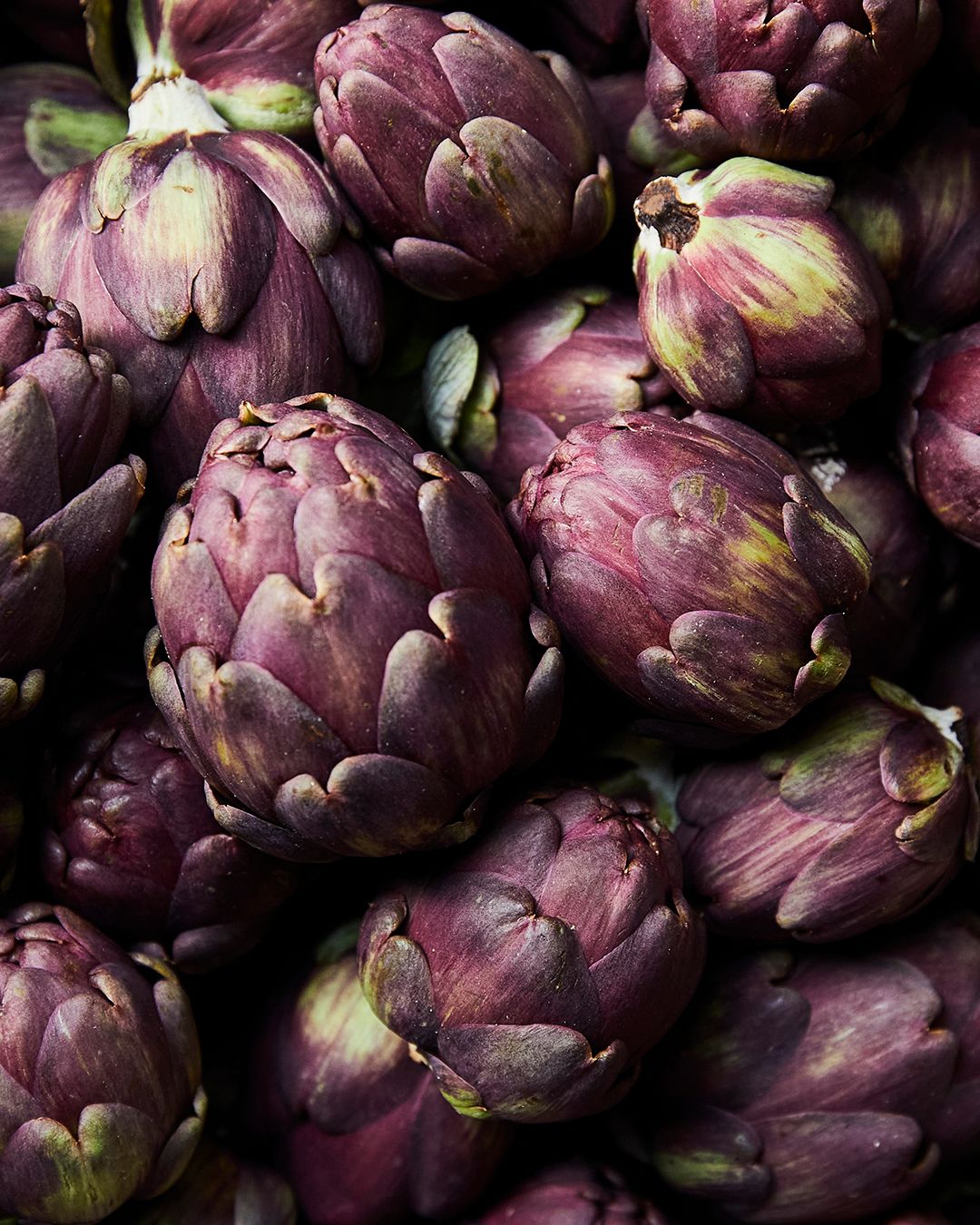 Season planner image