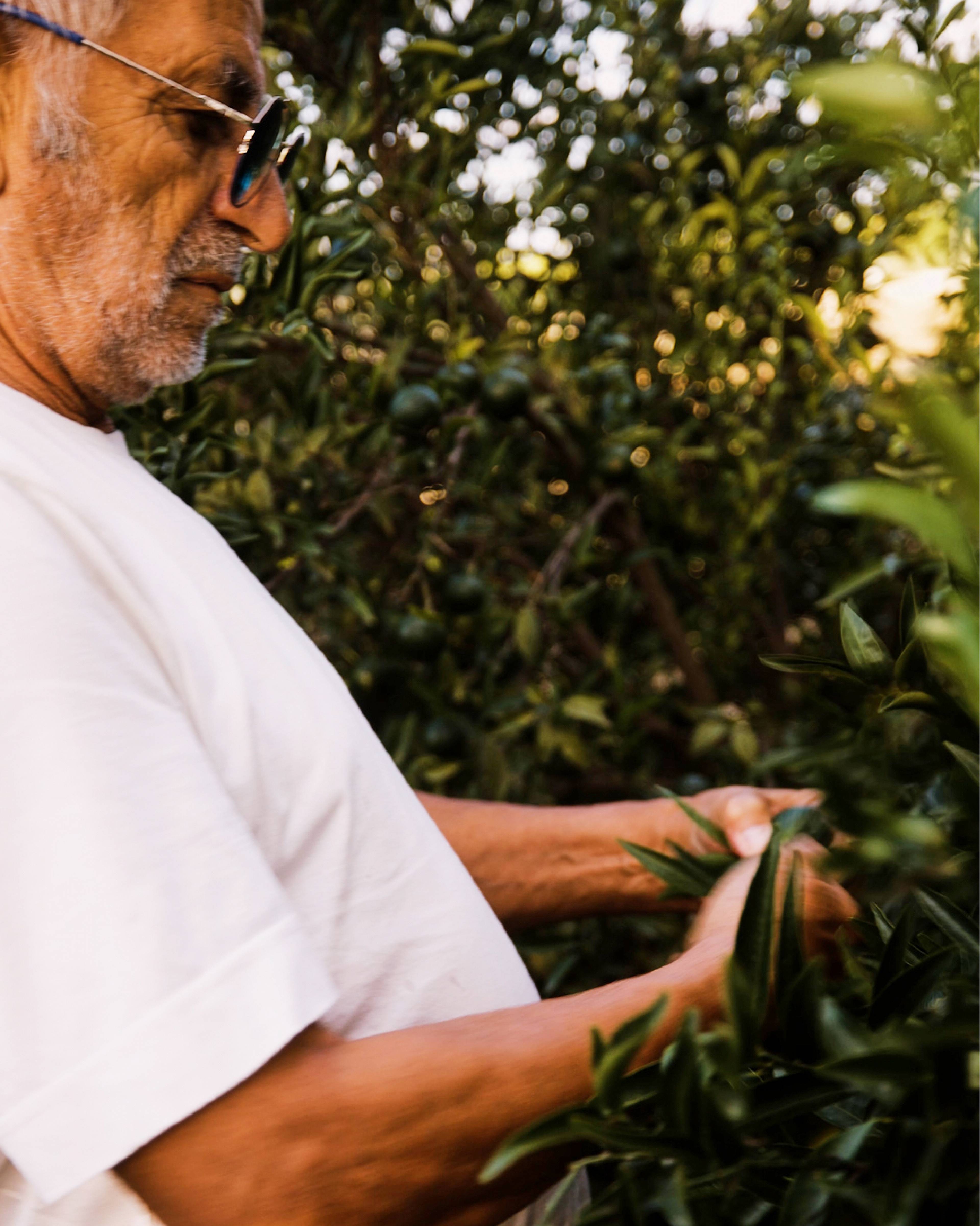 Images with caption alt text