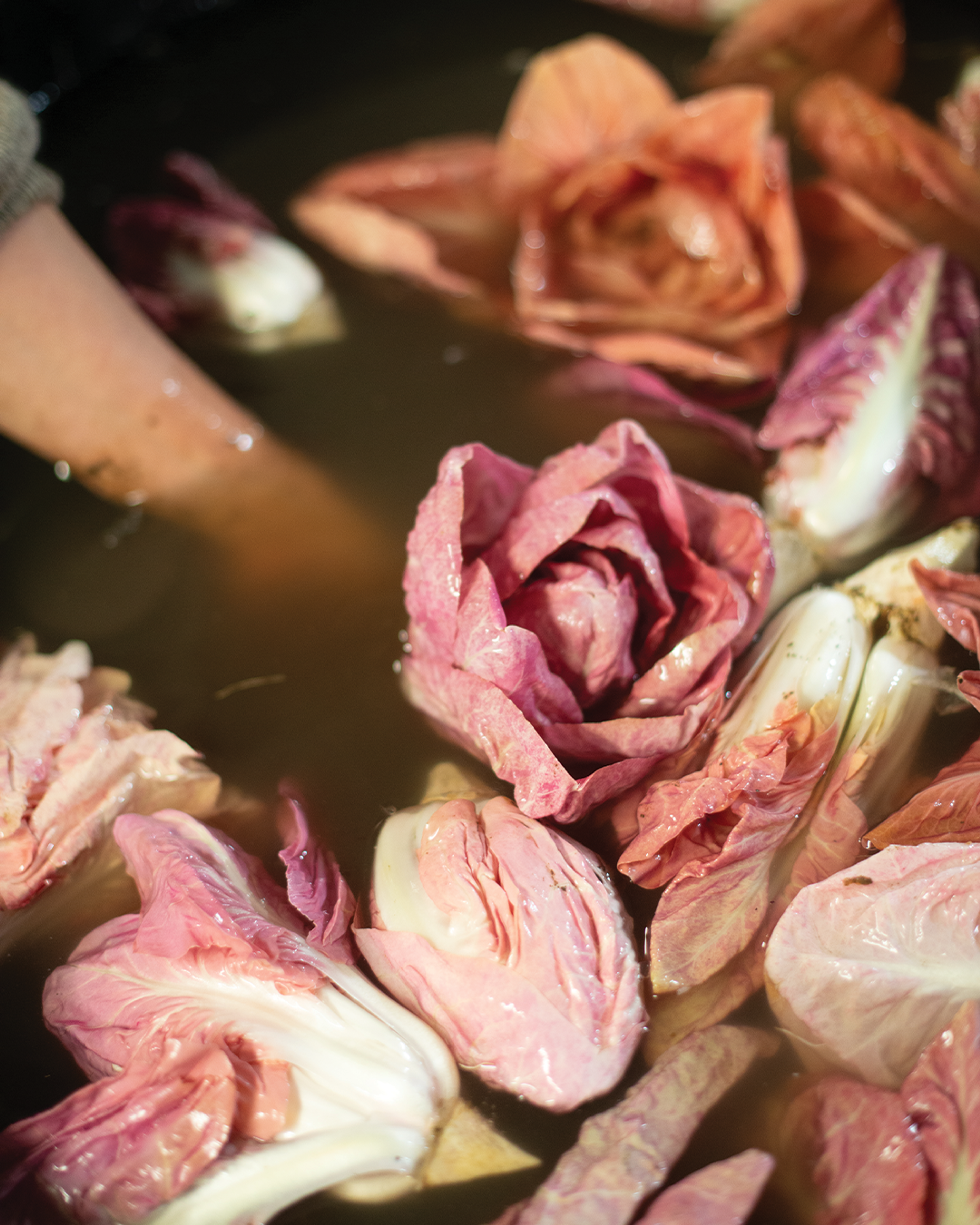 Images with caption alt text