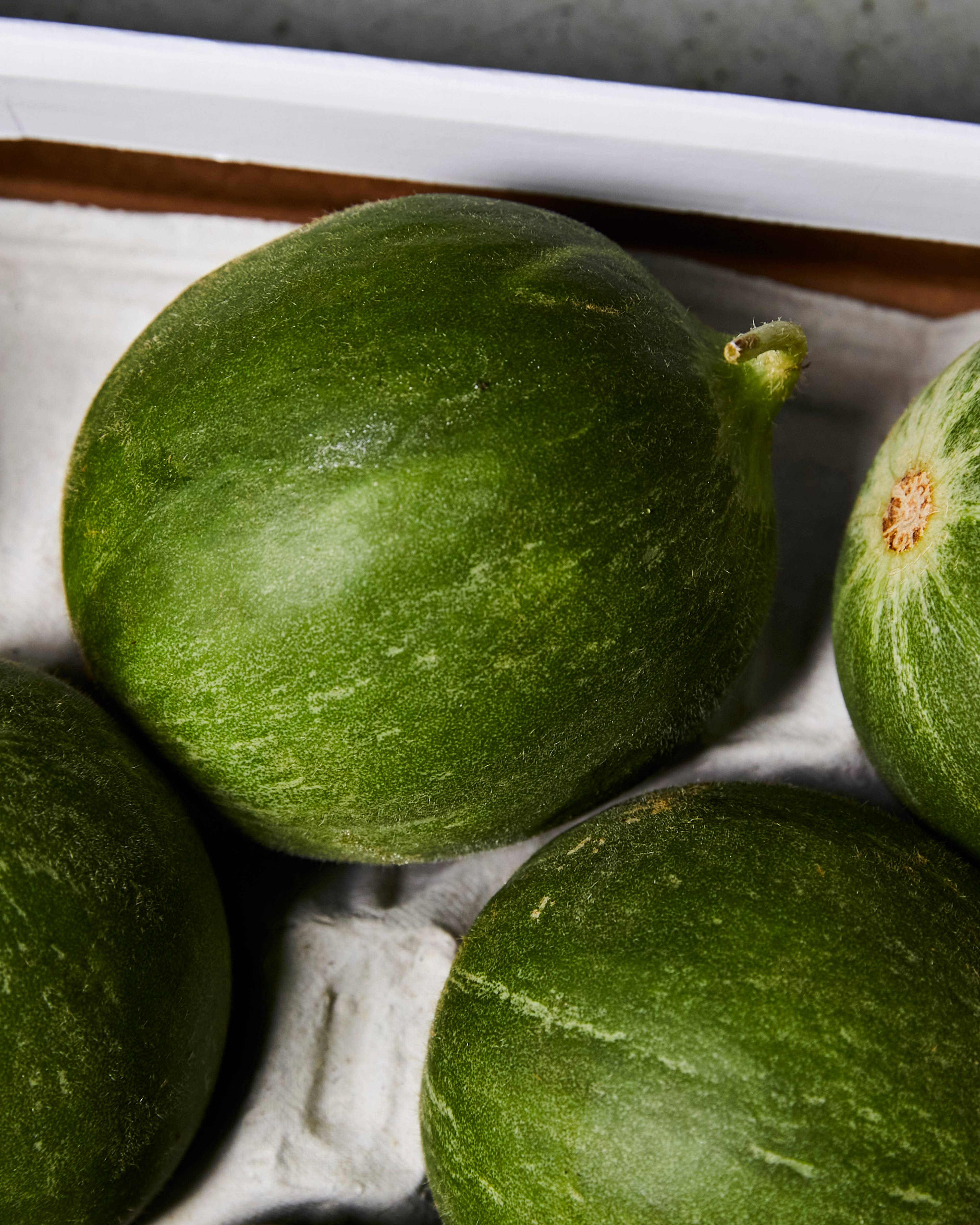 close up of a carosello cucumber
