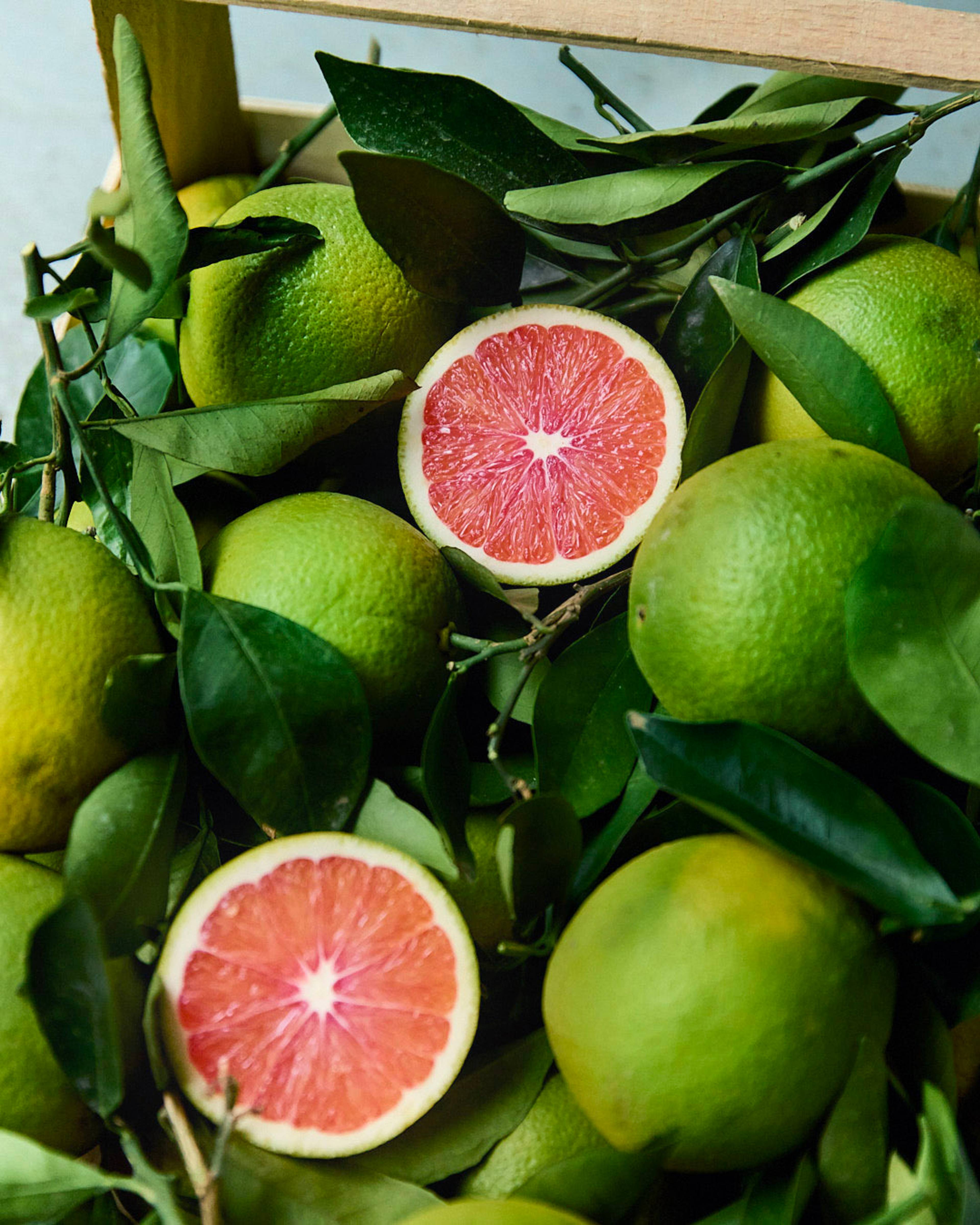 Season planner image