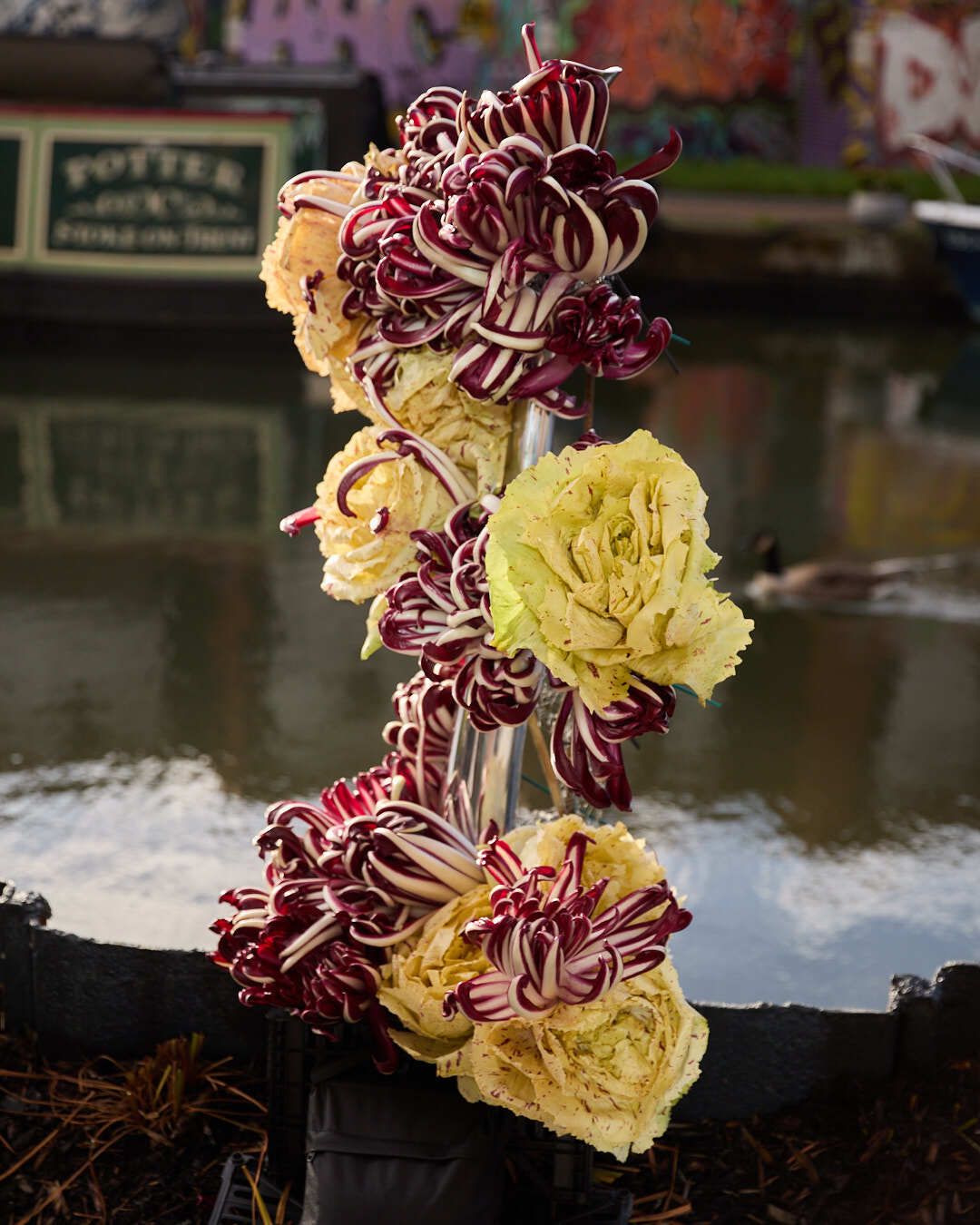 Images with caption alt text