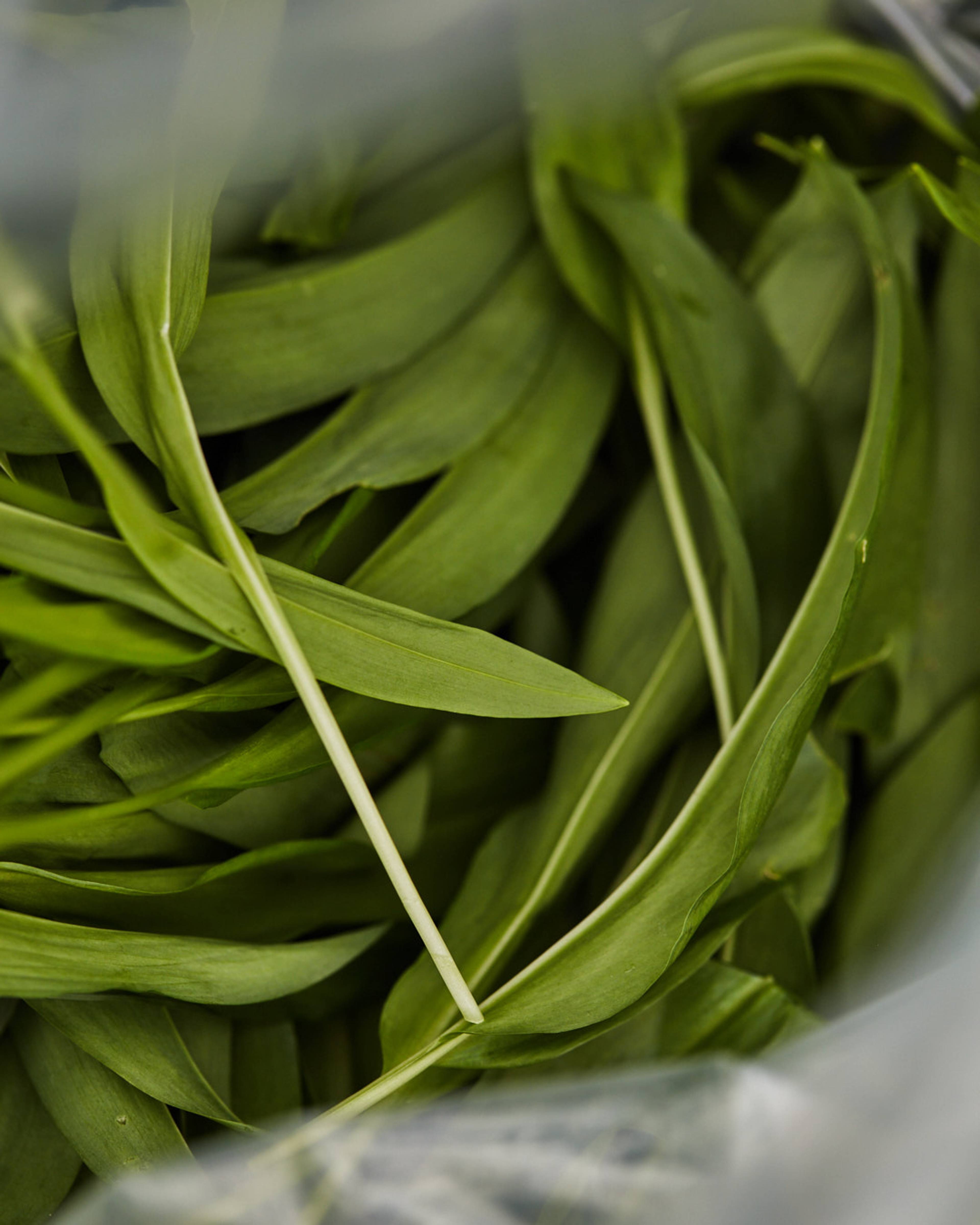 Images with caption alt text