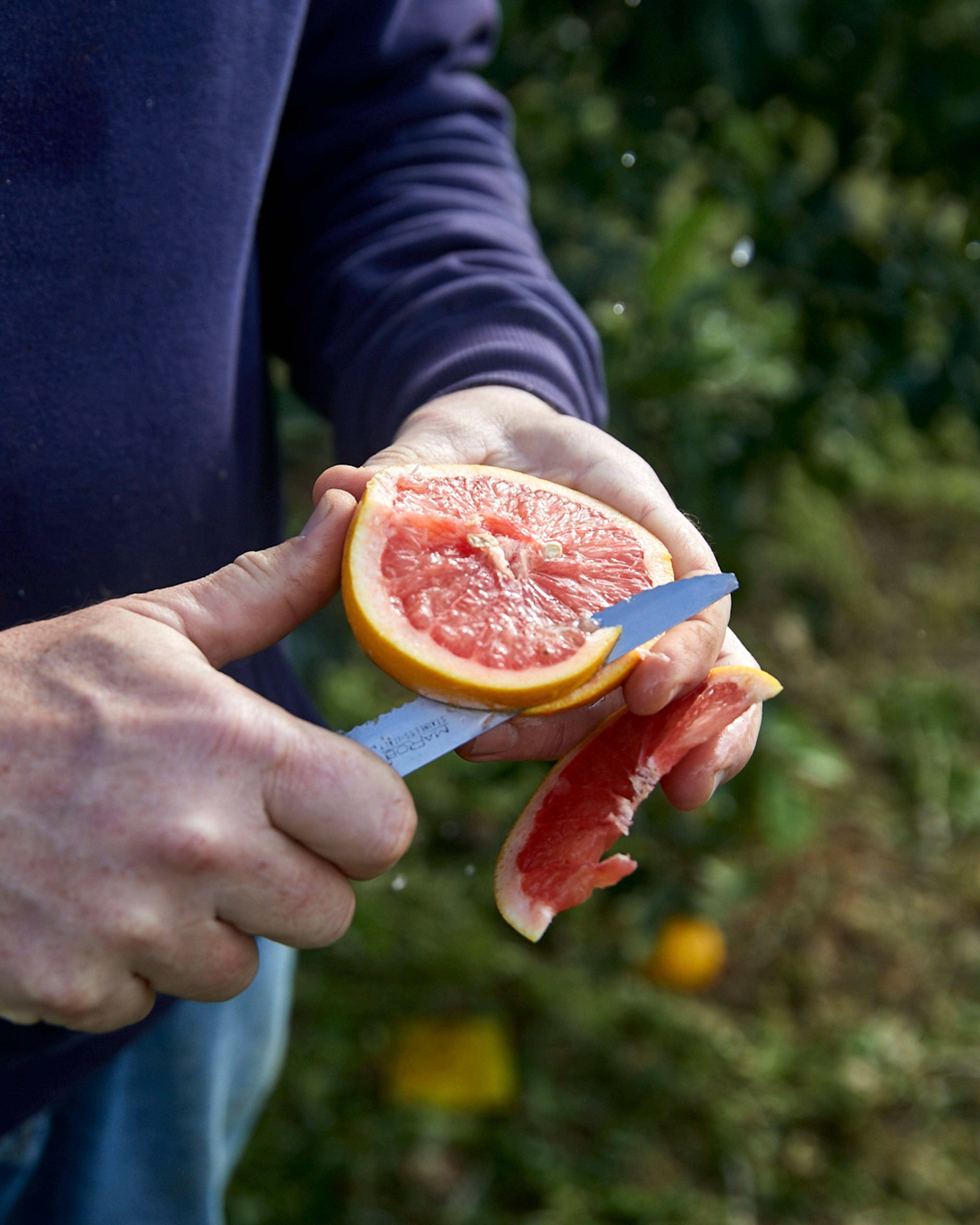 Season planner image