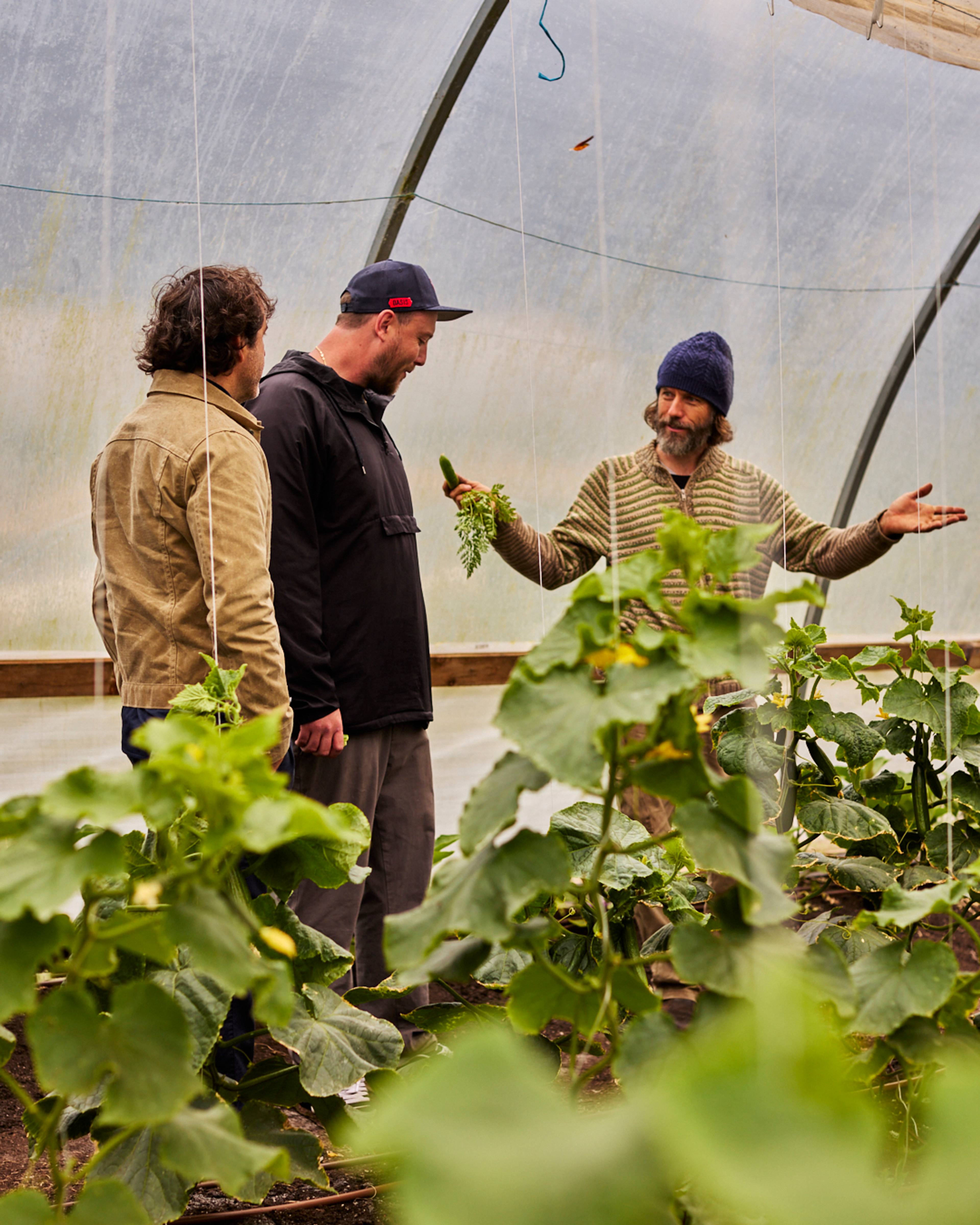 franco, kim and chris at timbarra farm
