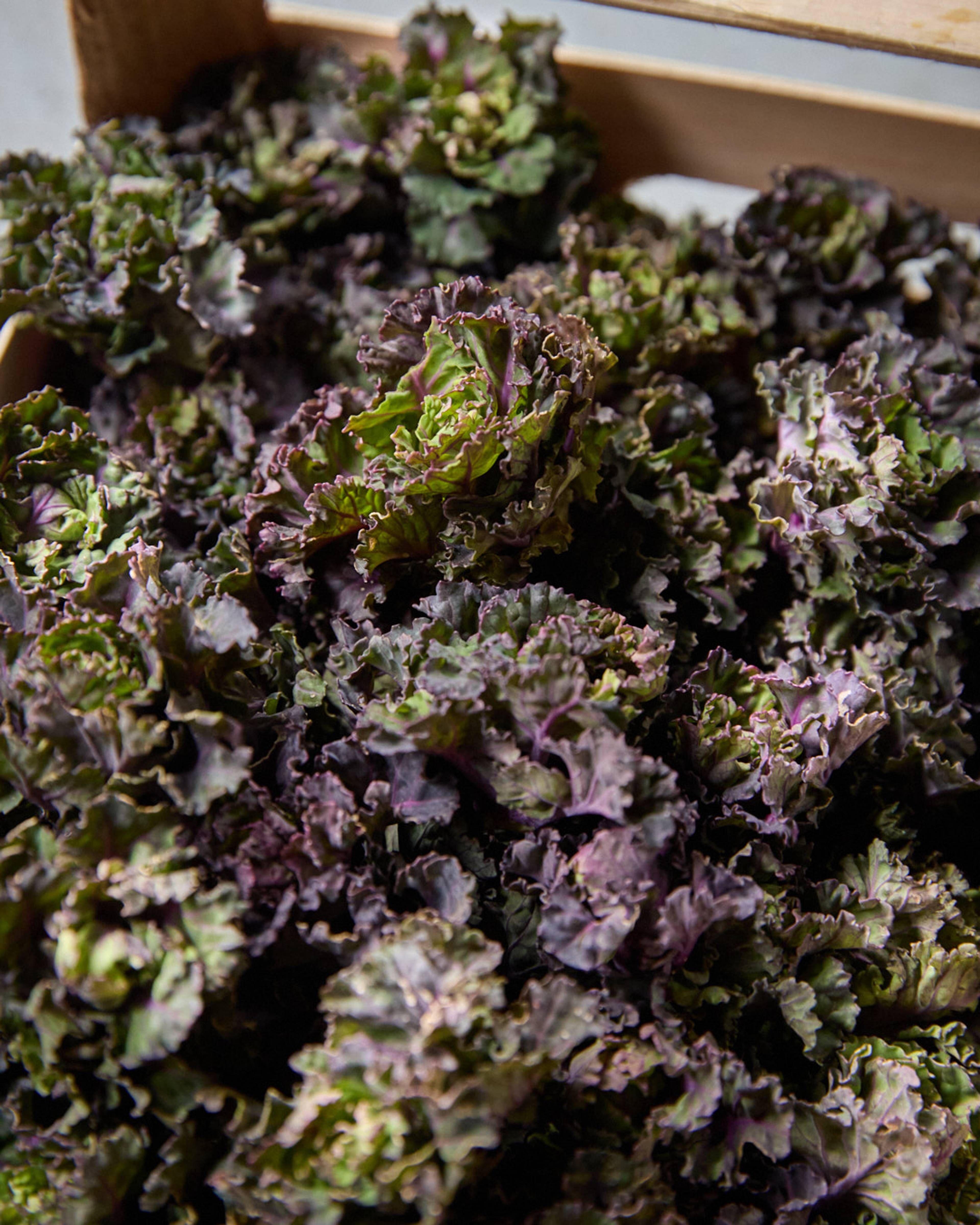 Season planner image