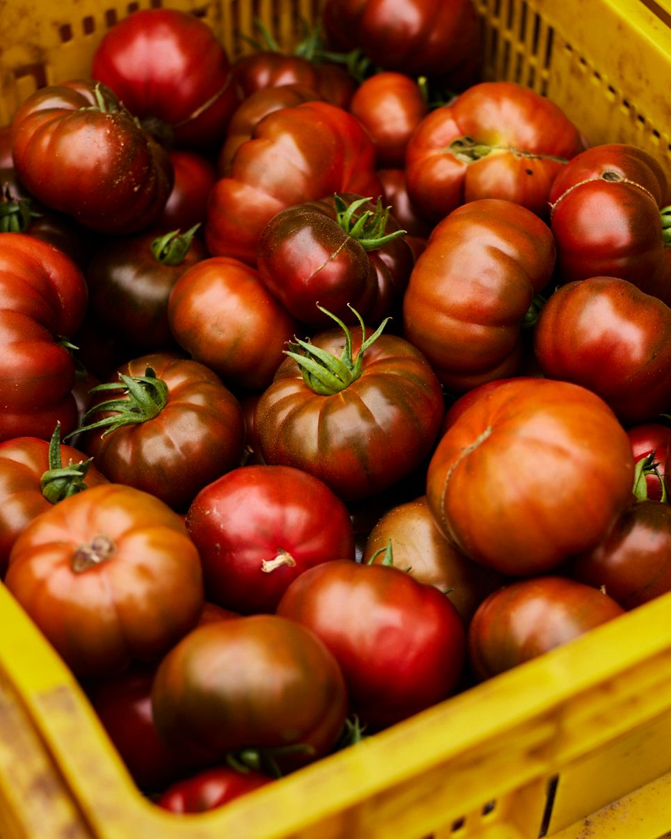 Season planner image