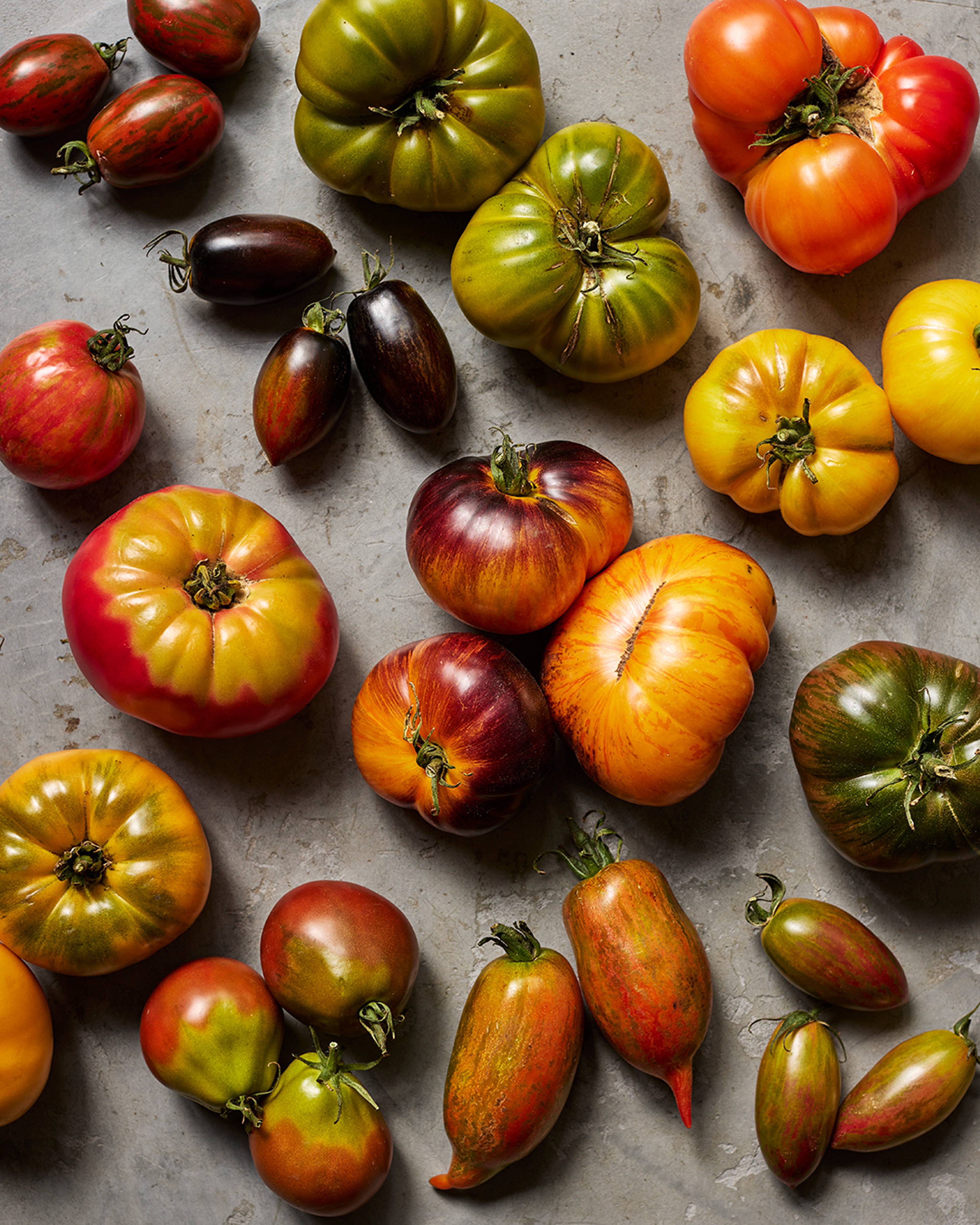 tomato varieties in different shapes and sizes