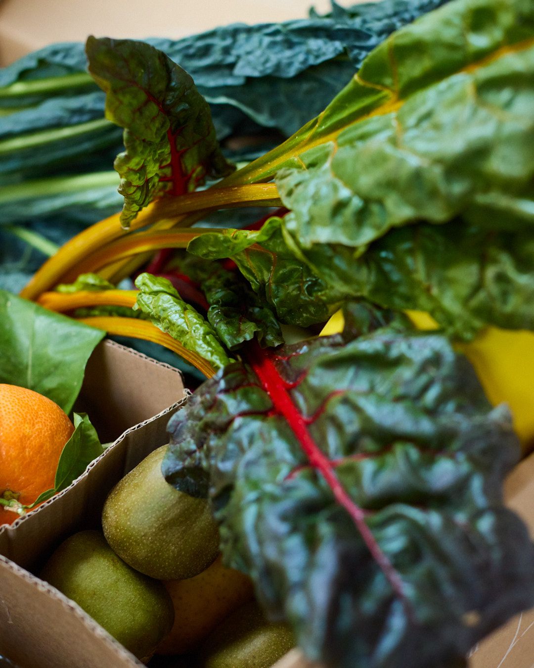 Images with caption alt text