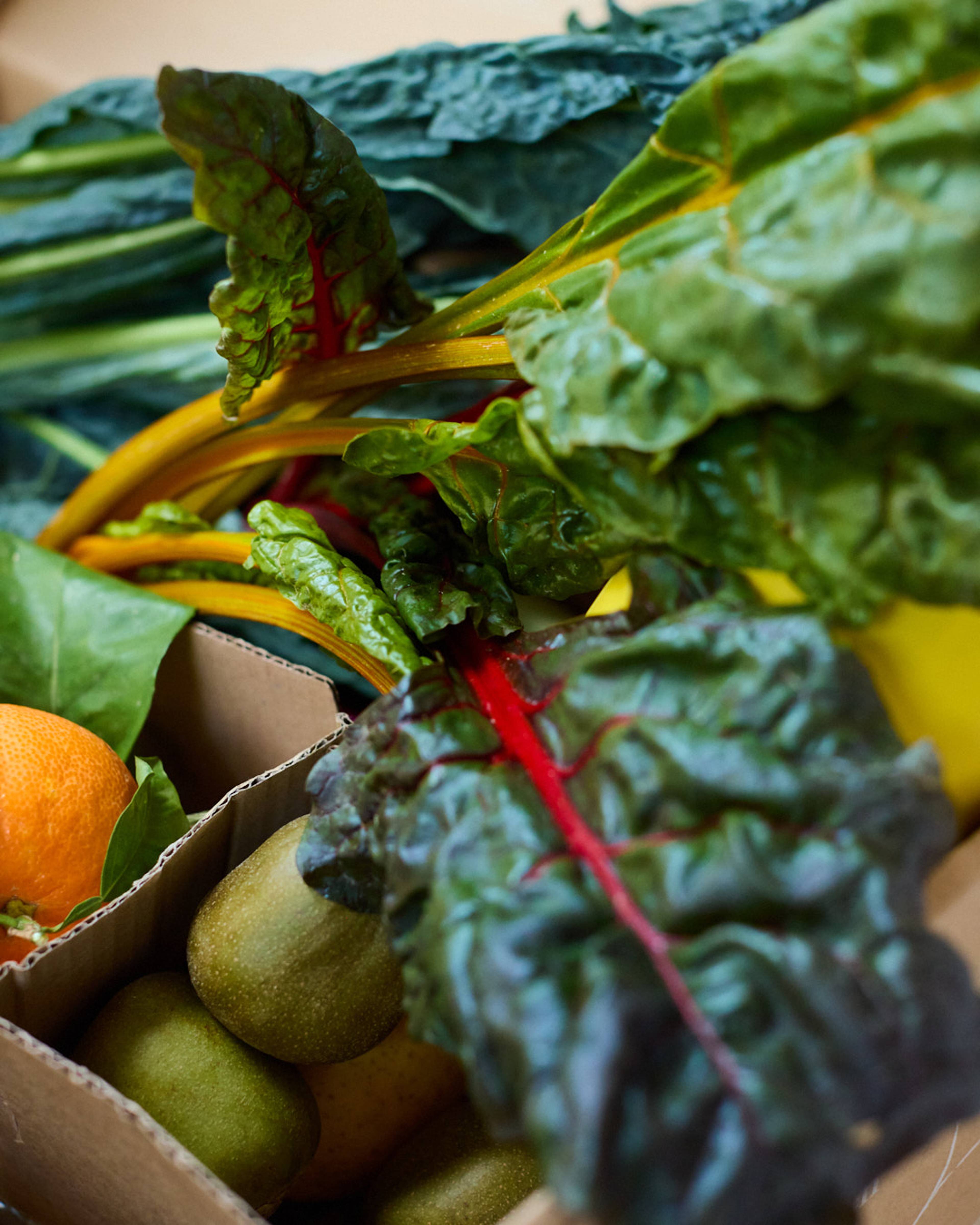 Images with caption alt text