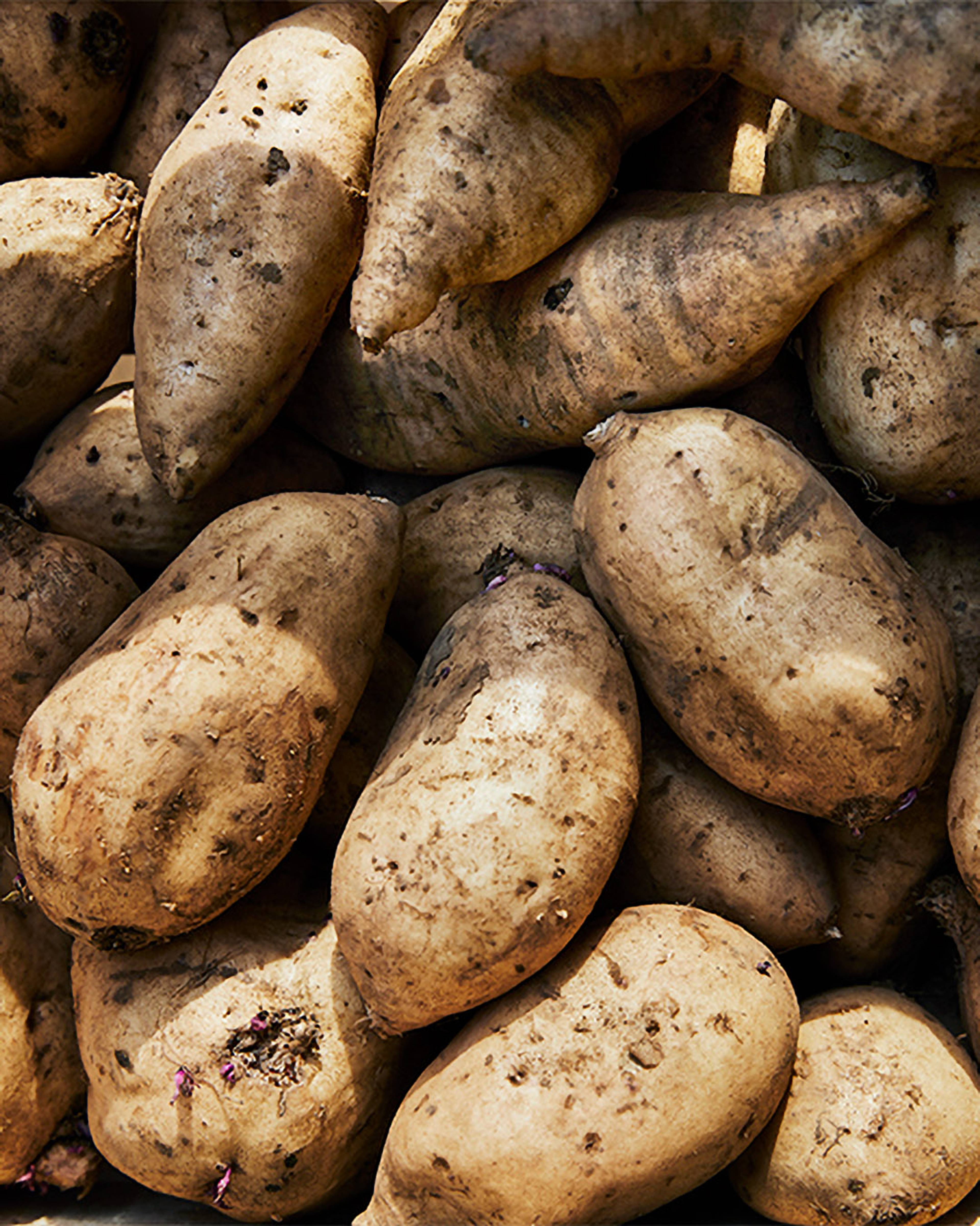 Season planner image